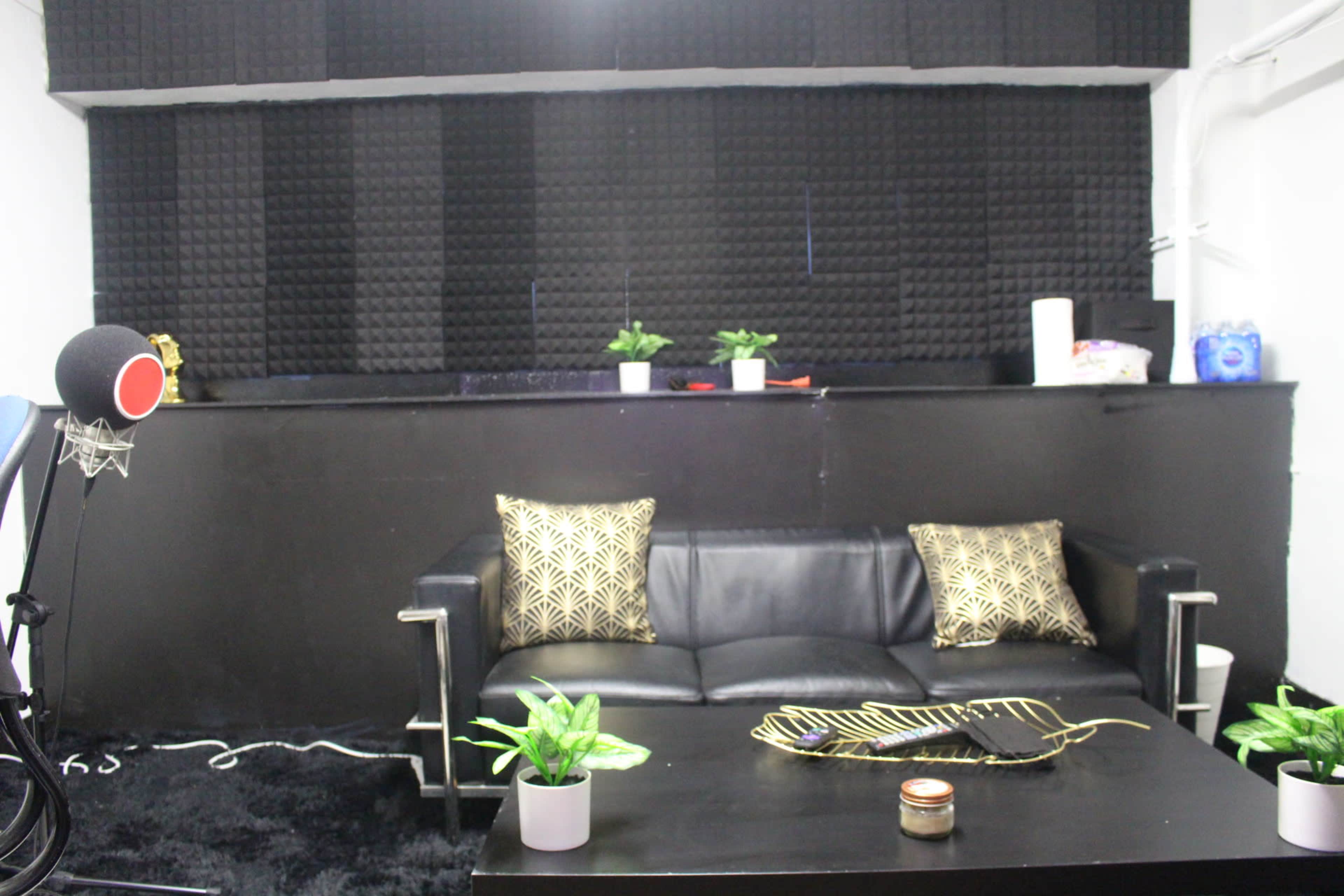 A black leather sofa with decorative pillows in front of a wall covered in soundproof foam panels, alongside small potted plants.