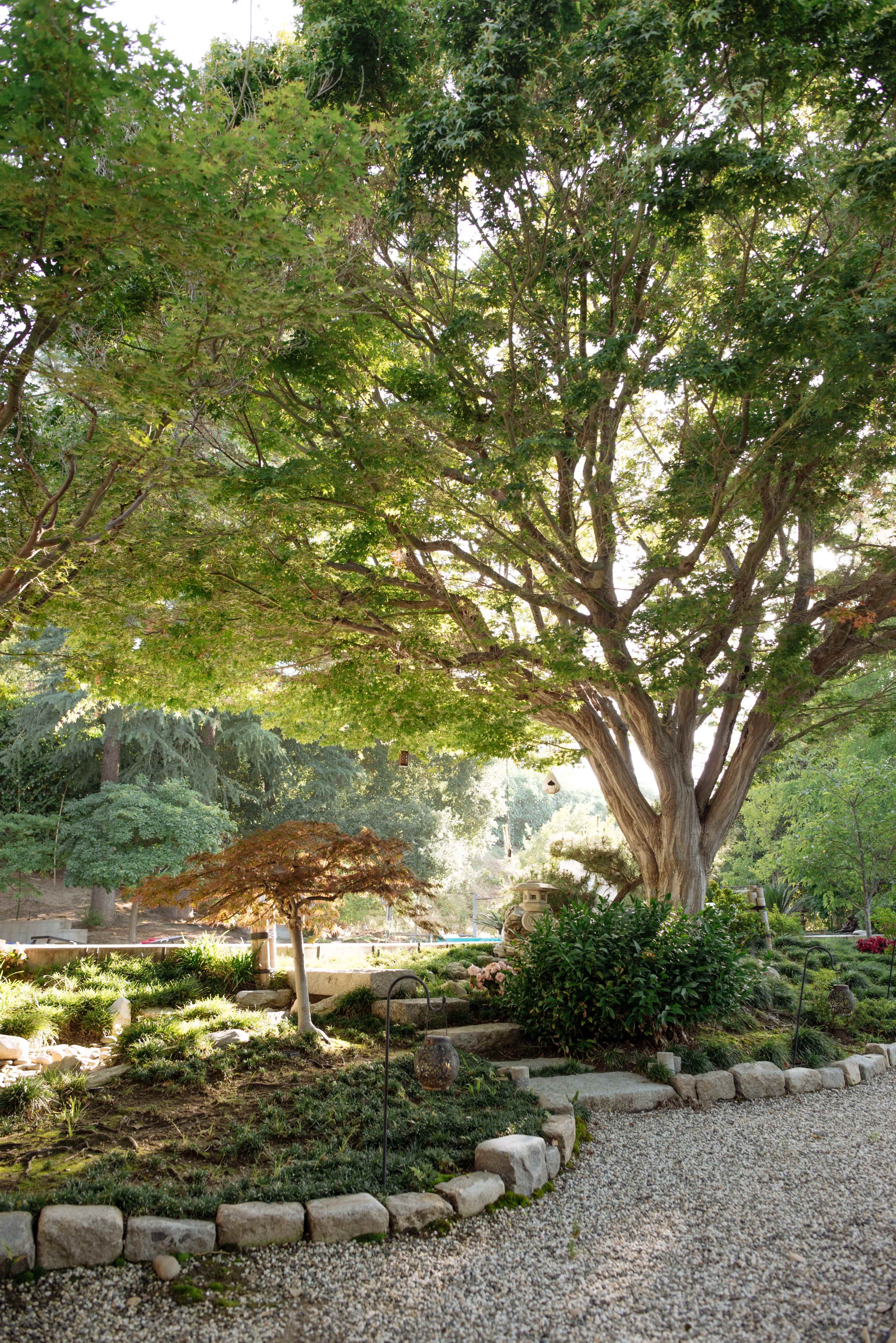 Mid-Century Zen Mountain Getaway Image in Encino, Van Nuys, CA