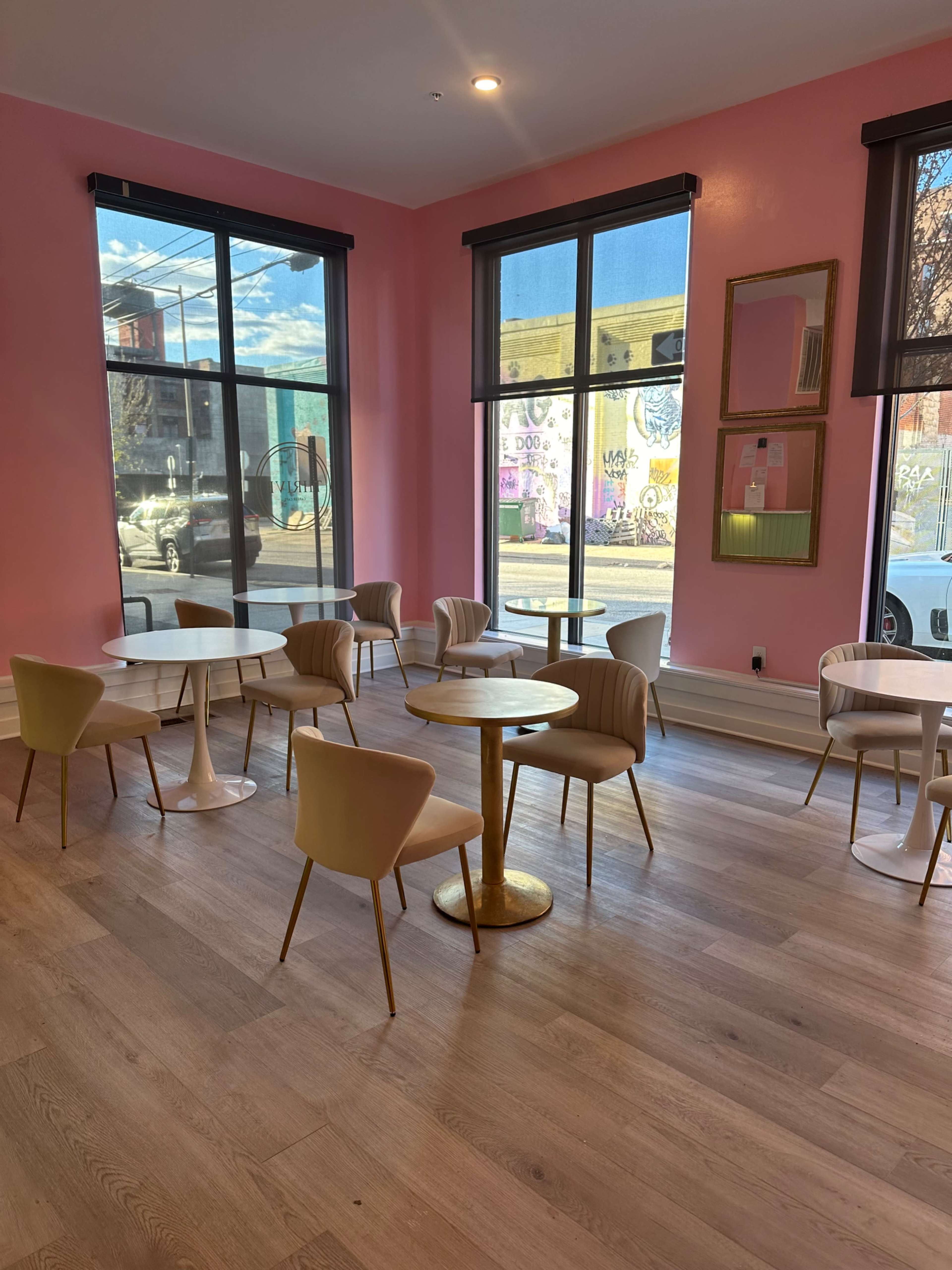A café interior featuring several round tables and chairs, with large windows allowing natural light to illuminate the pink walls.