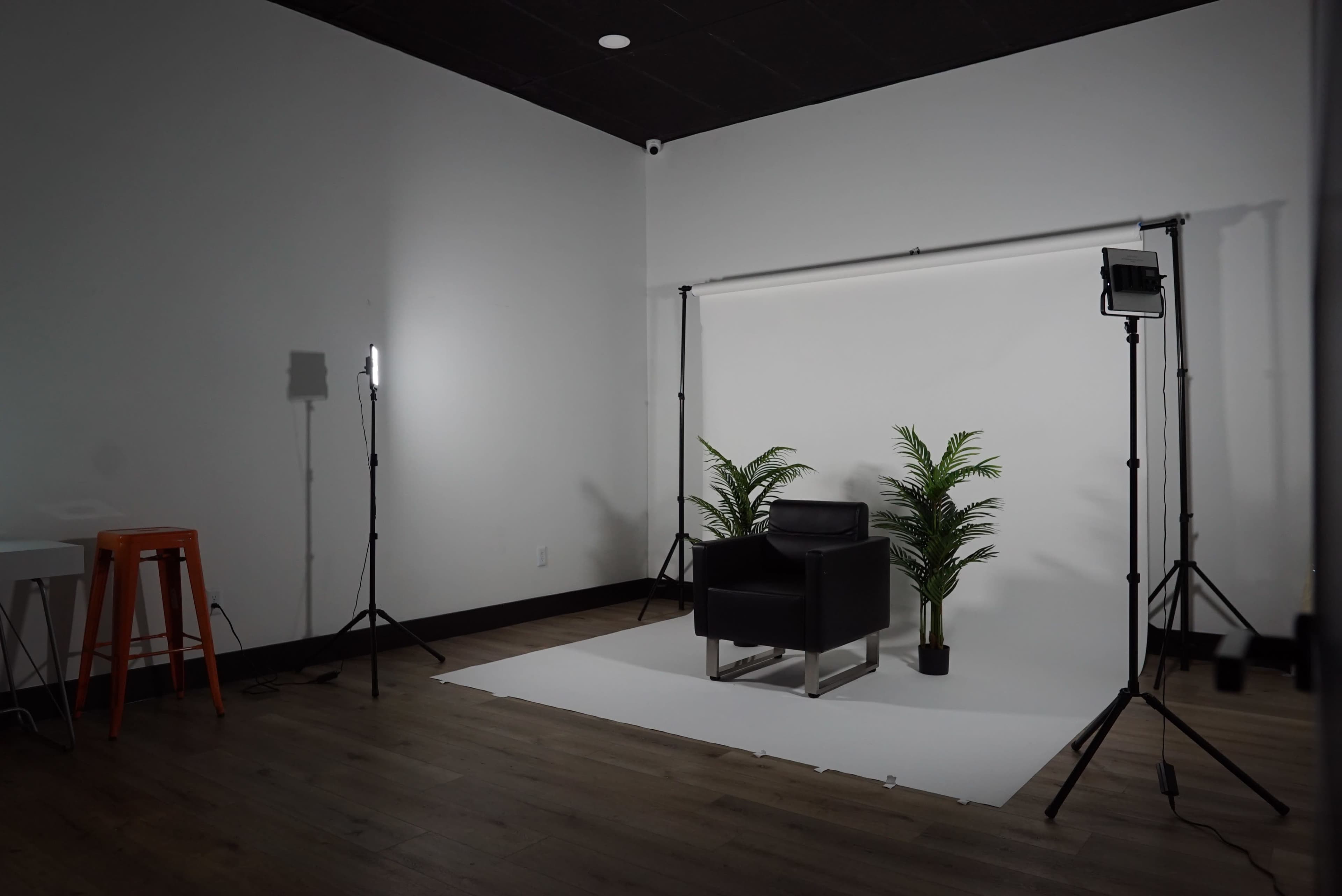 An empty studio setup with a black chair, two potted plants, and lighting equipment positioned against a white backdrop.