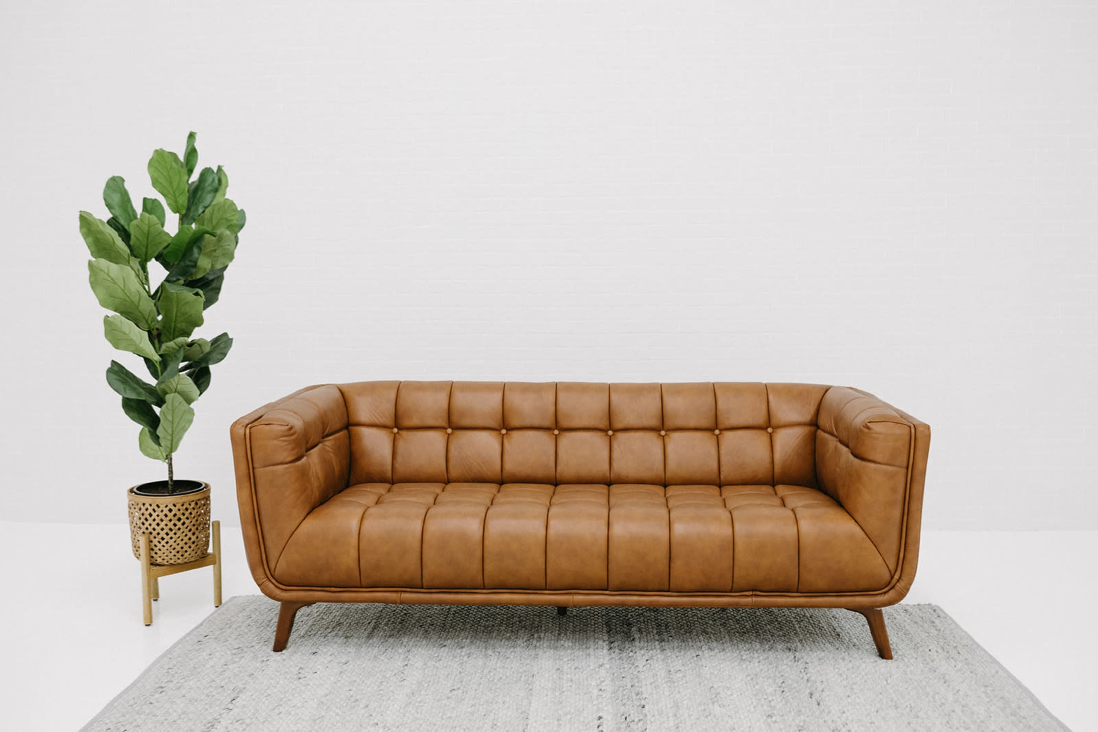 A brown leather sofa with tufted upholstery is positioned on a light-colored rug beside a potted plant.