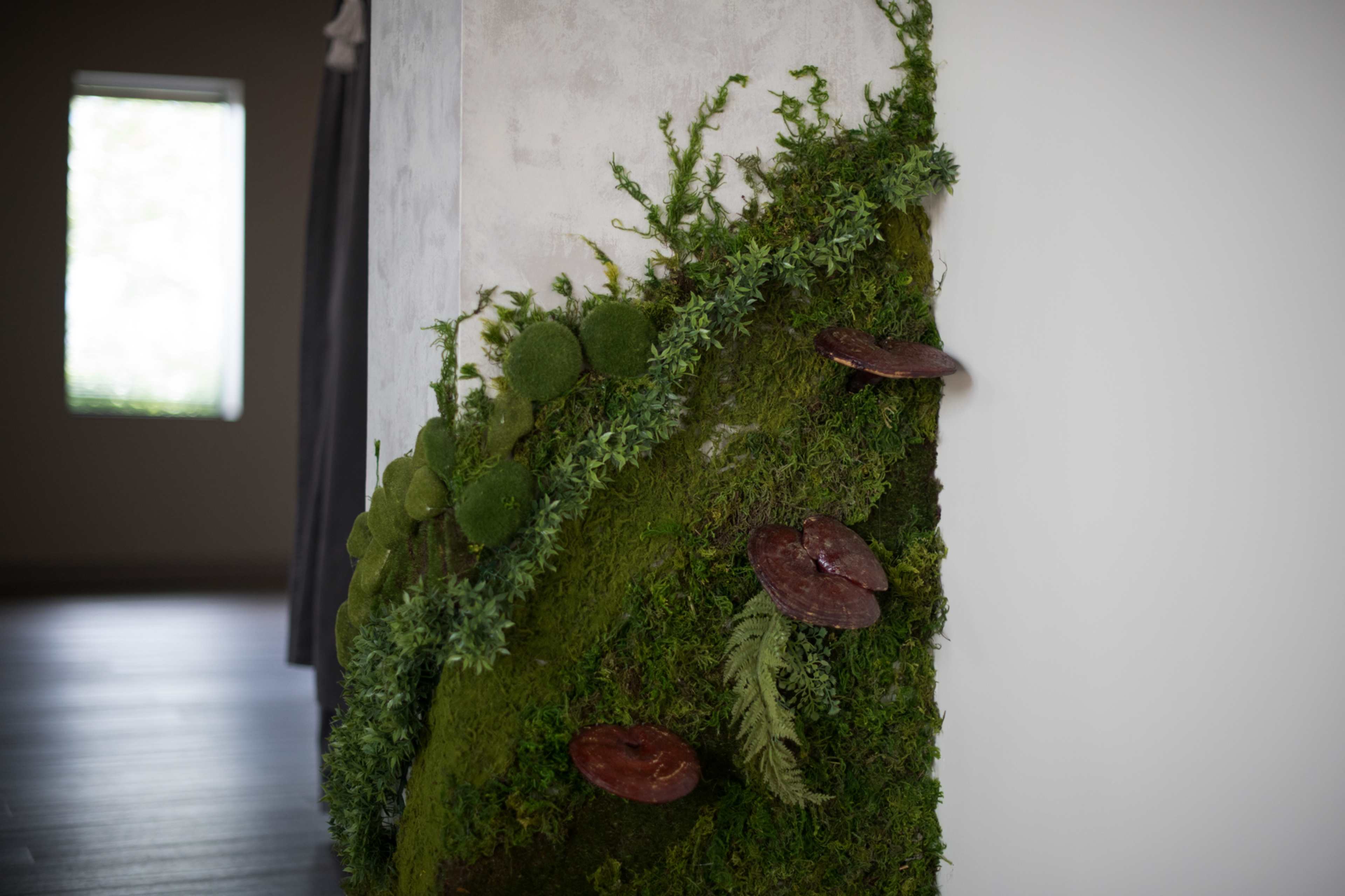 A wall features a vertical garden of moss, spherical green plants, and decorative mushrooms.