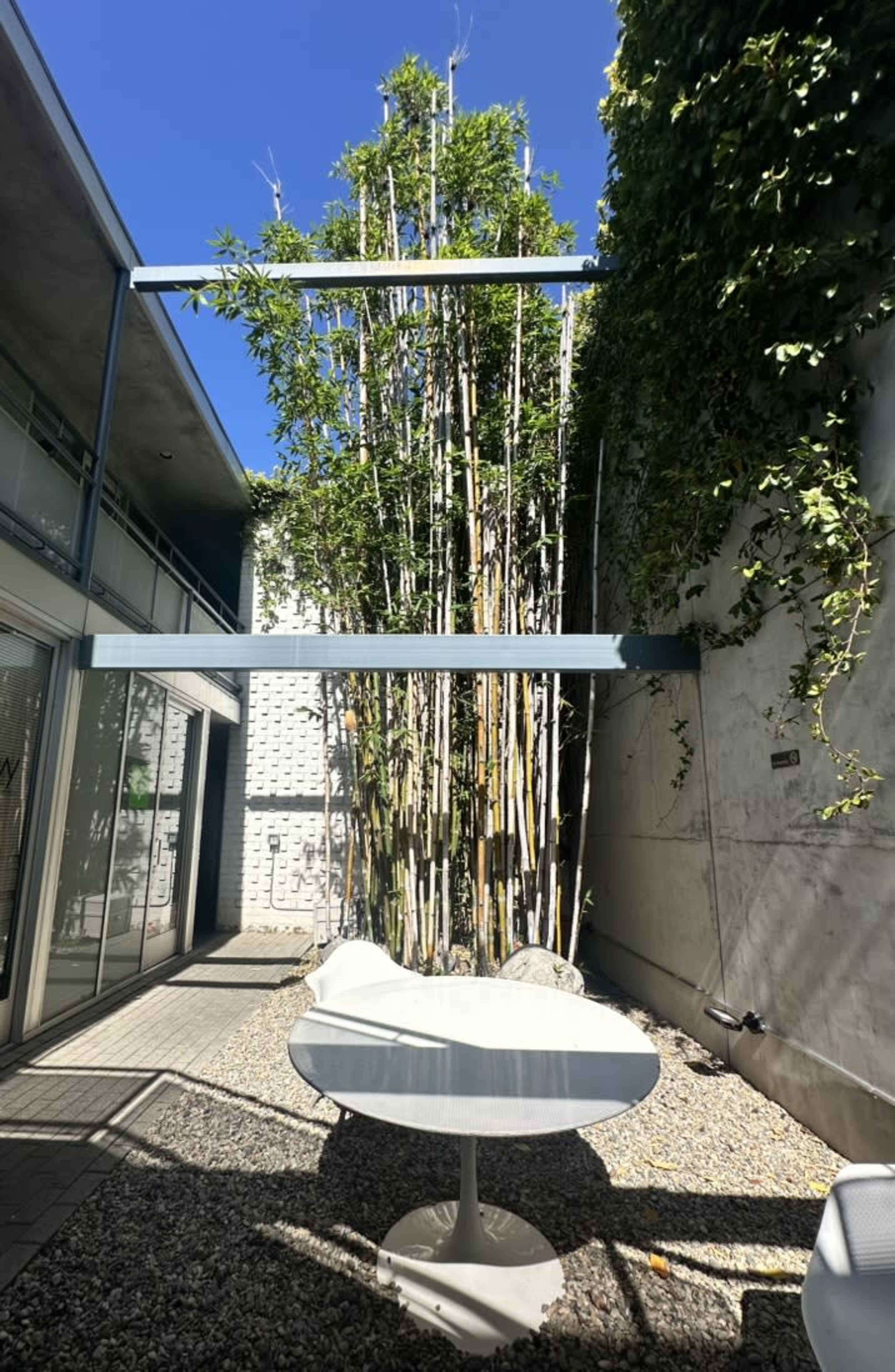 The image shows a small outdoor area featuring a circular white table surrounded by gravel and bamboo plants, with a clear blue sky above.
