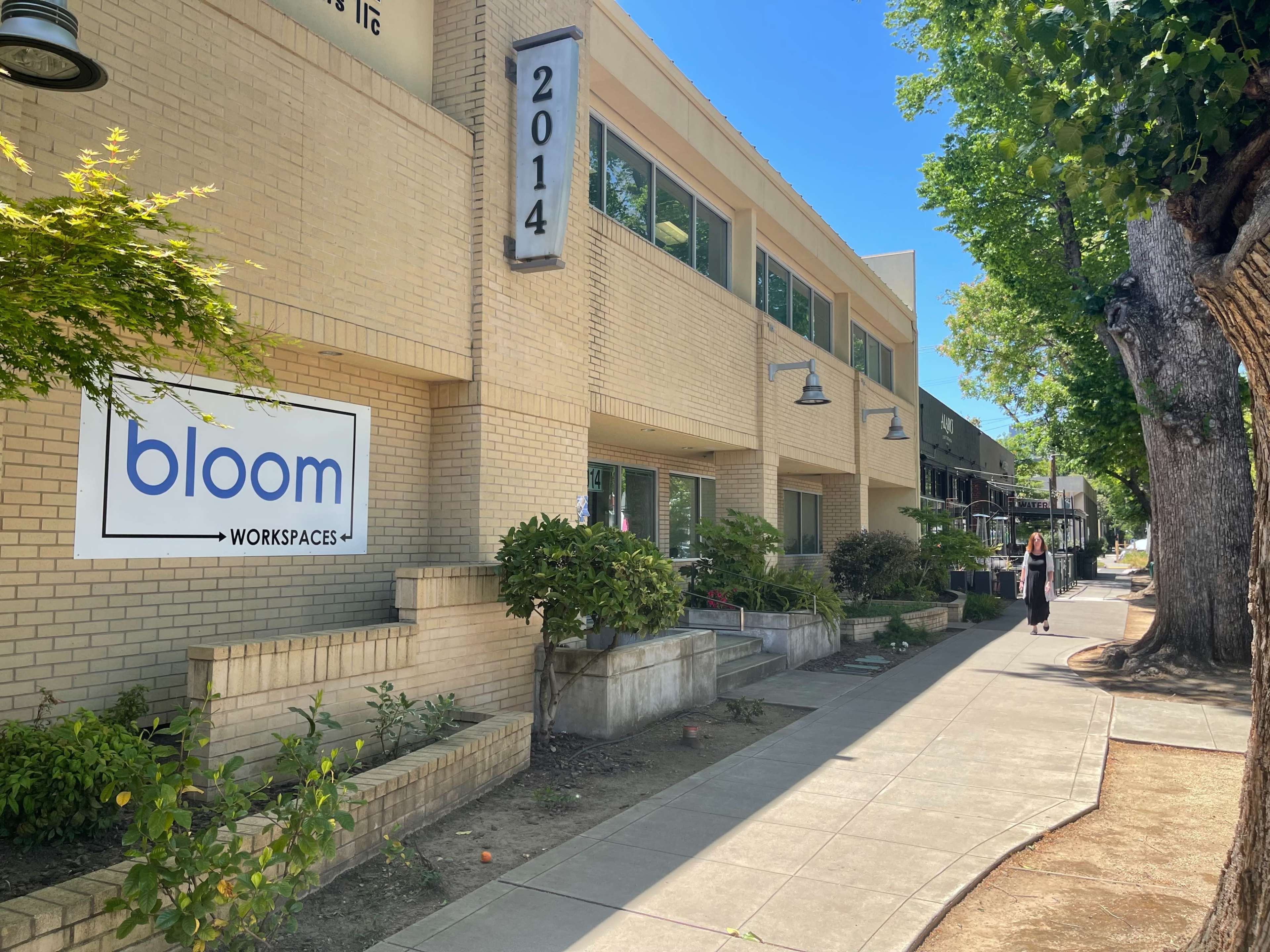 The image shows a side view of a brick building with a large sign reading "bloom" and a sidewalk lined with trees.