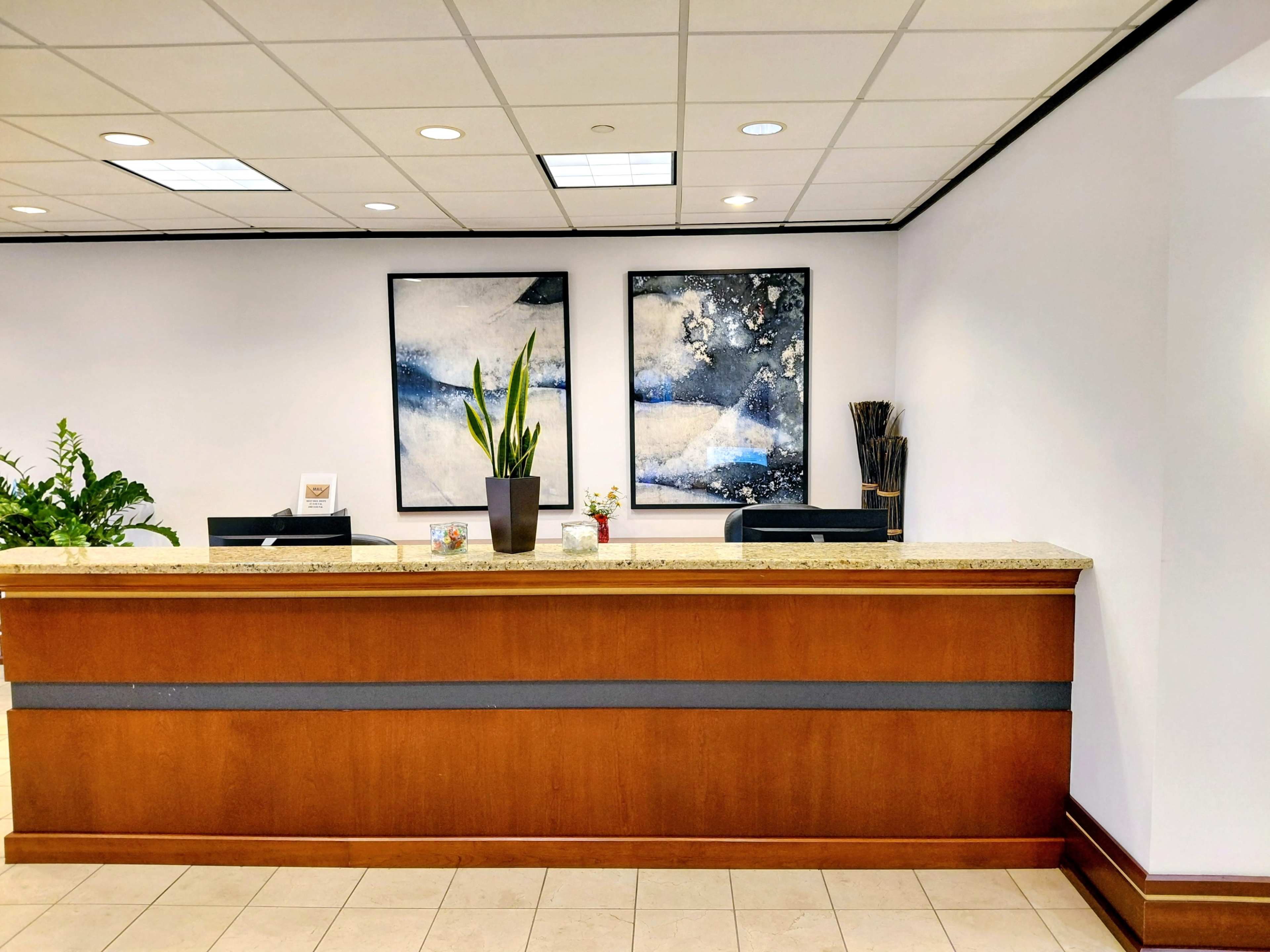 The image depicts a modern reception area with a wooden front desk, two abstract paintings on the wall, and a potted plant alongside the desk.