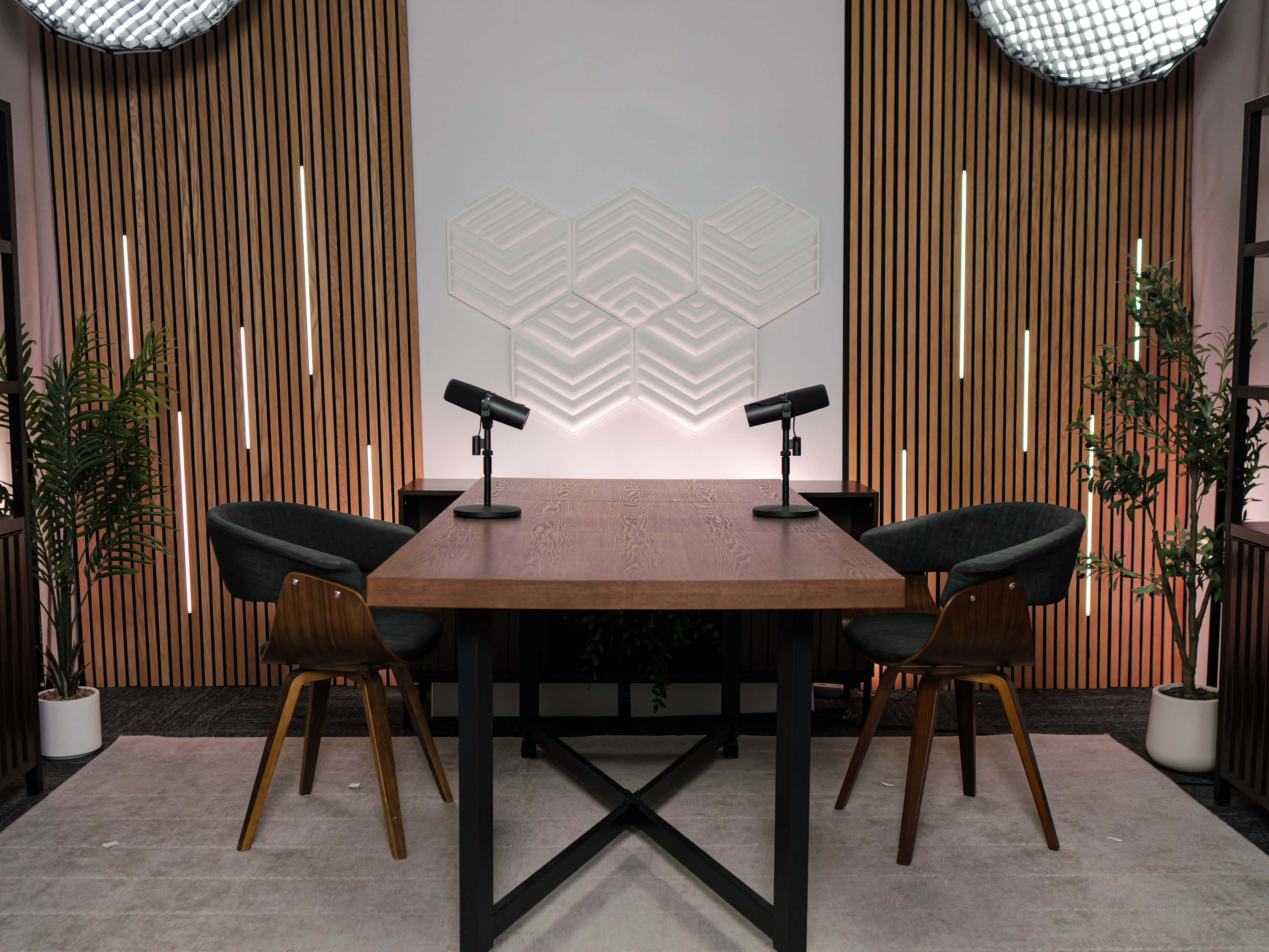 The image shows a modern interview setup featuring a wooden table with two microphones and two chairs, surrounded by plants and a backdrop of wooden slats and ambient lighting.
