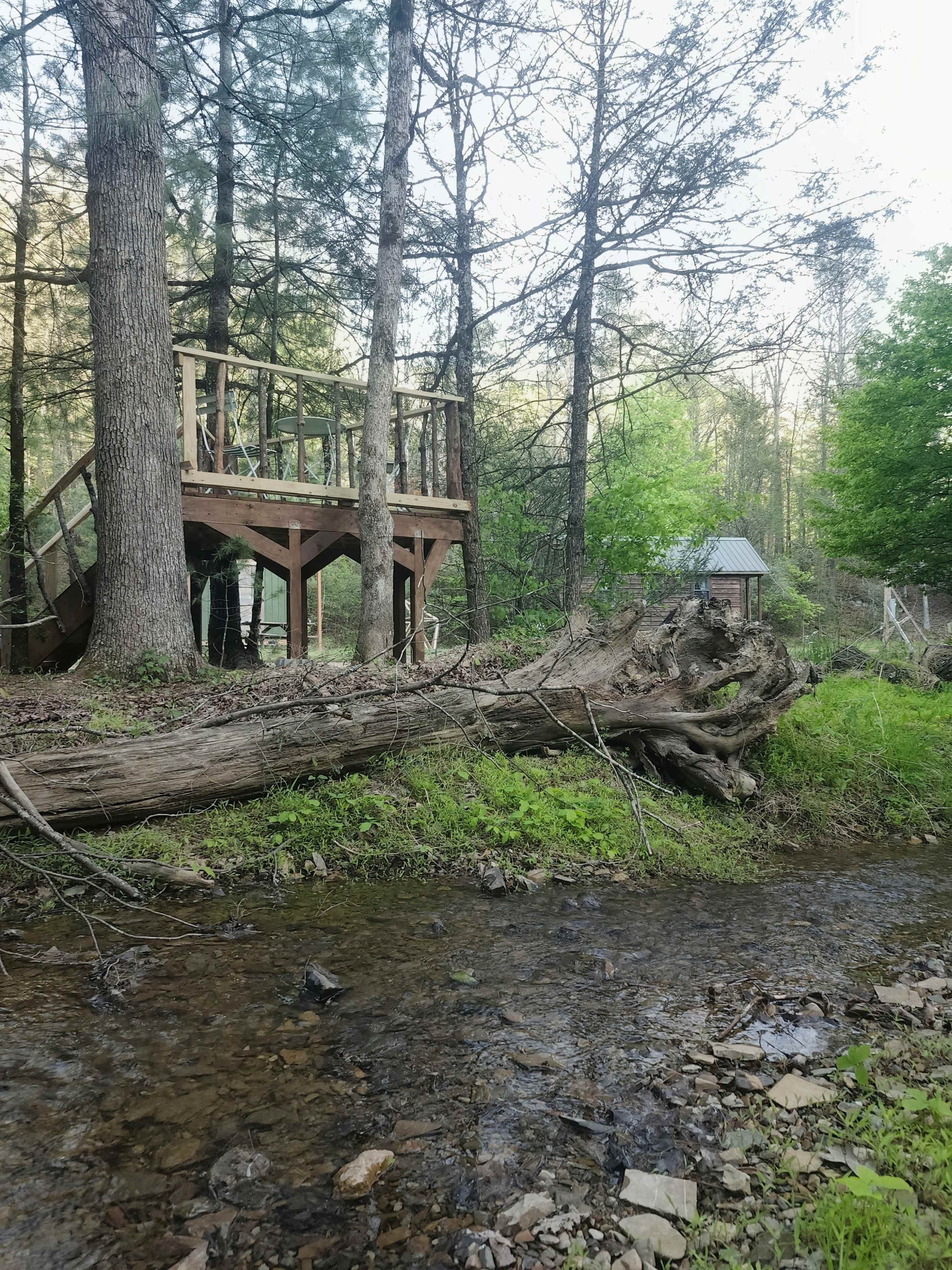 A wooden deck is situated near a small creek, surrounded by trees and greenery.
