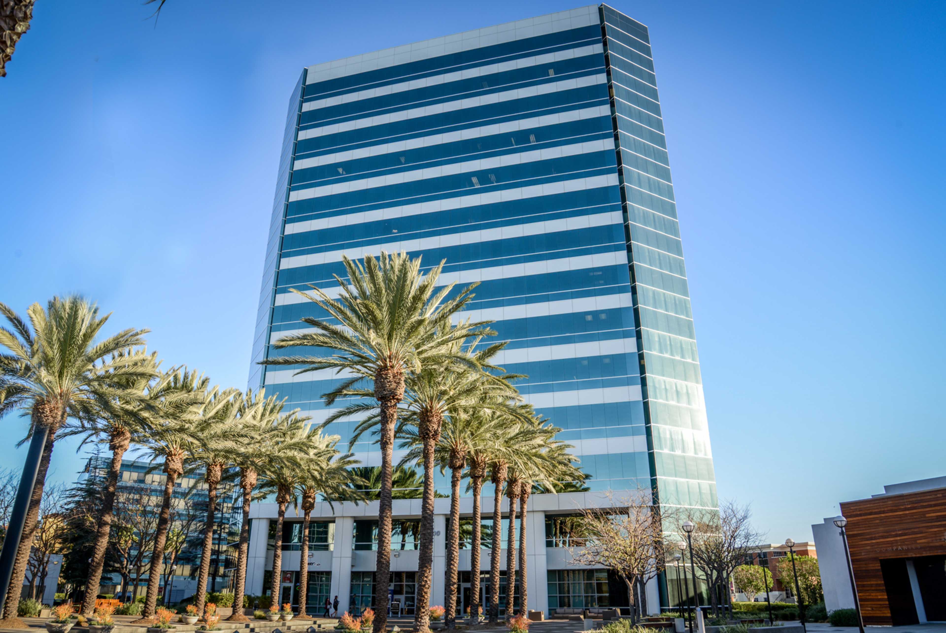 A tall glass office building is framed by palm trees in a clear blue sky.