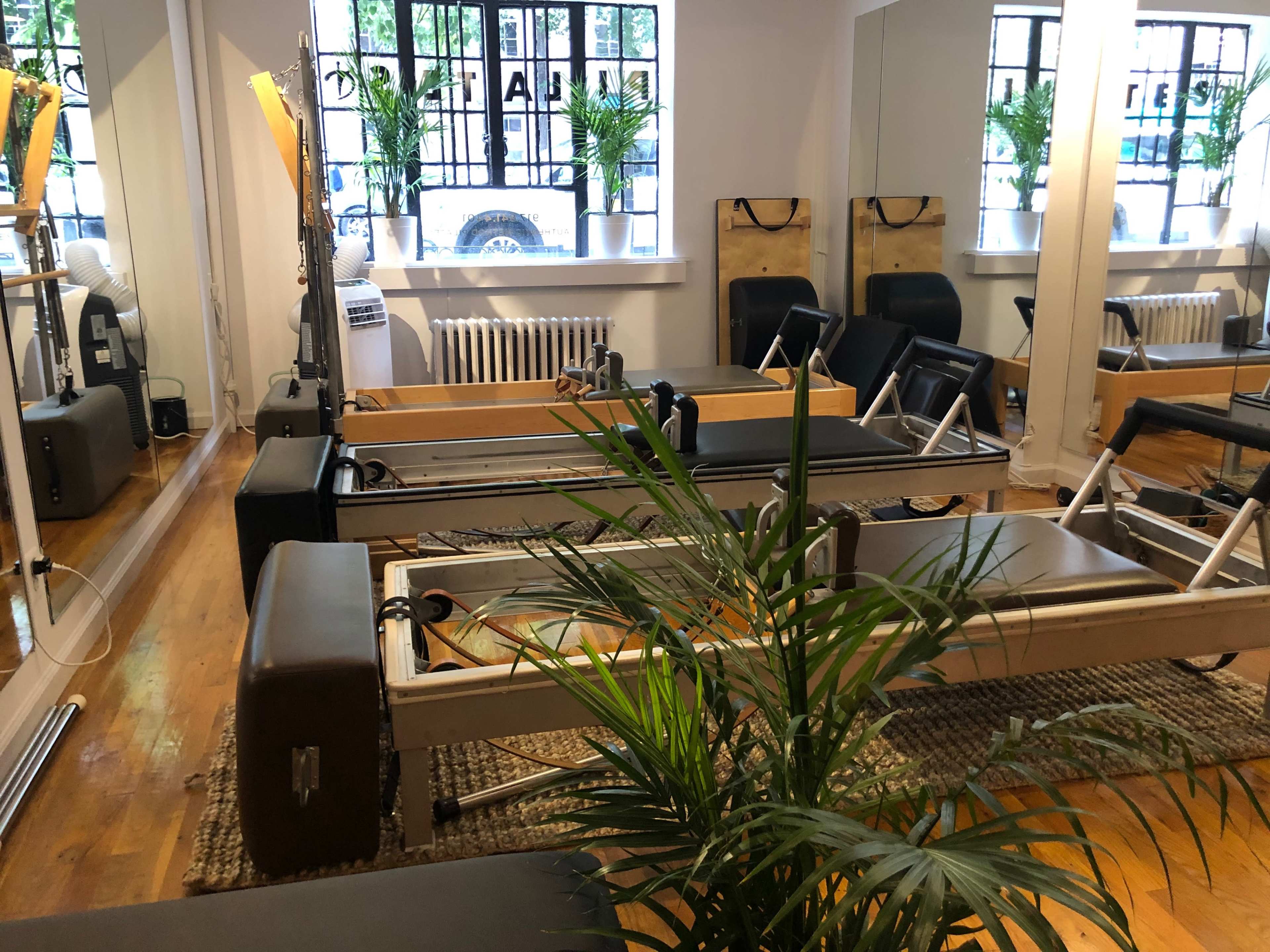 A fitness studio equipped with reformer pilates machines, mirrors, and plants, featuring wooden floors and large windows.