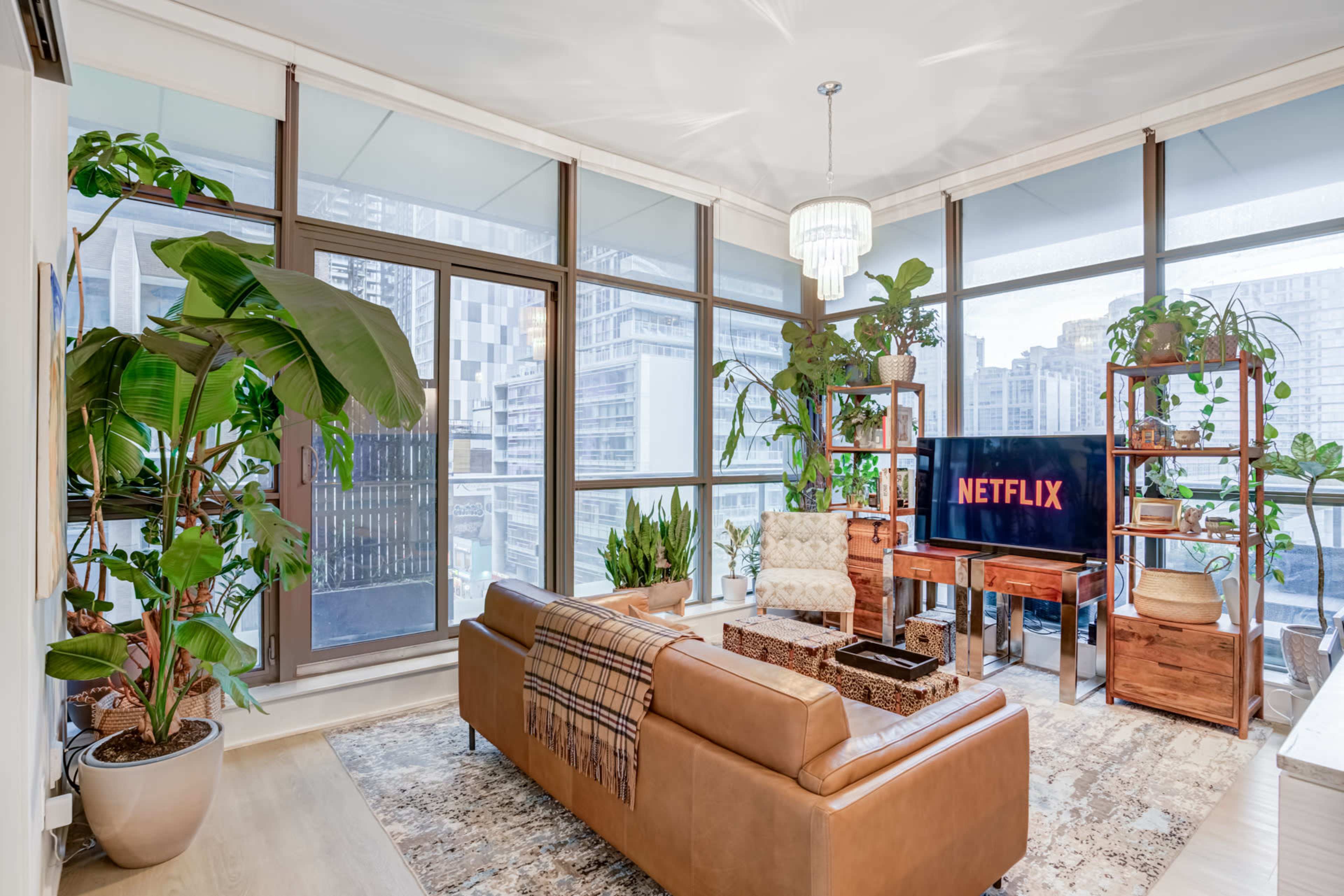 The image shows a modern living room with large windows, a brown sofa, a coffee table, a TV displaying the Netflix logo, and various indoor plants arranged around the space.