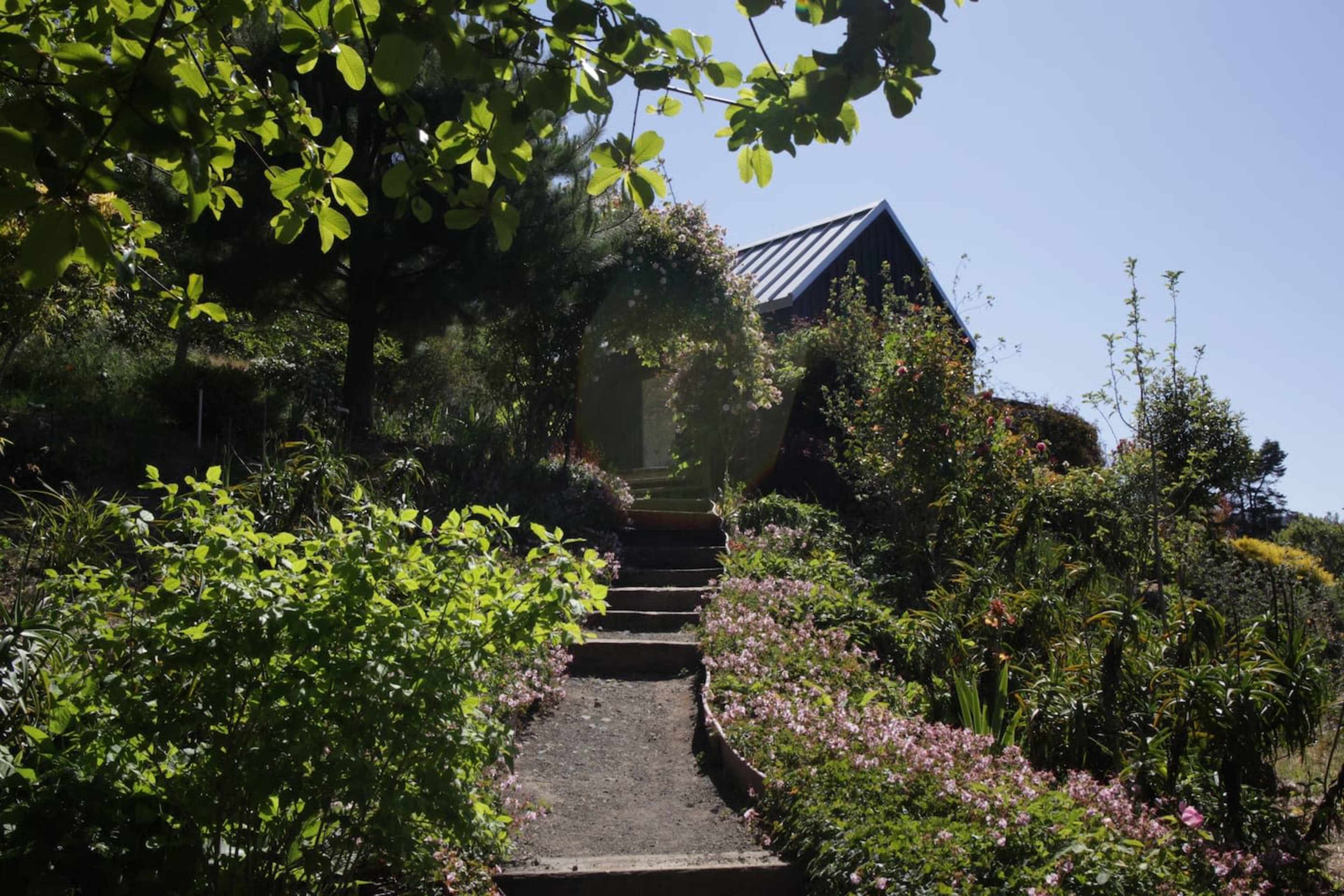 A quaint pathway lined with flowers leads up to a house nestled among lush greenery under a clear blue sky.