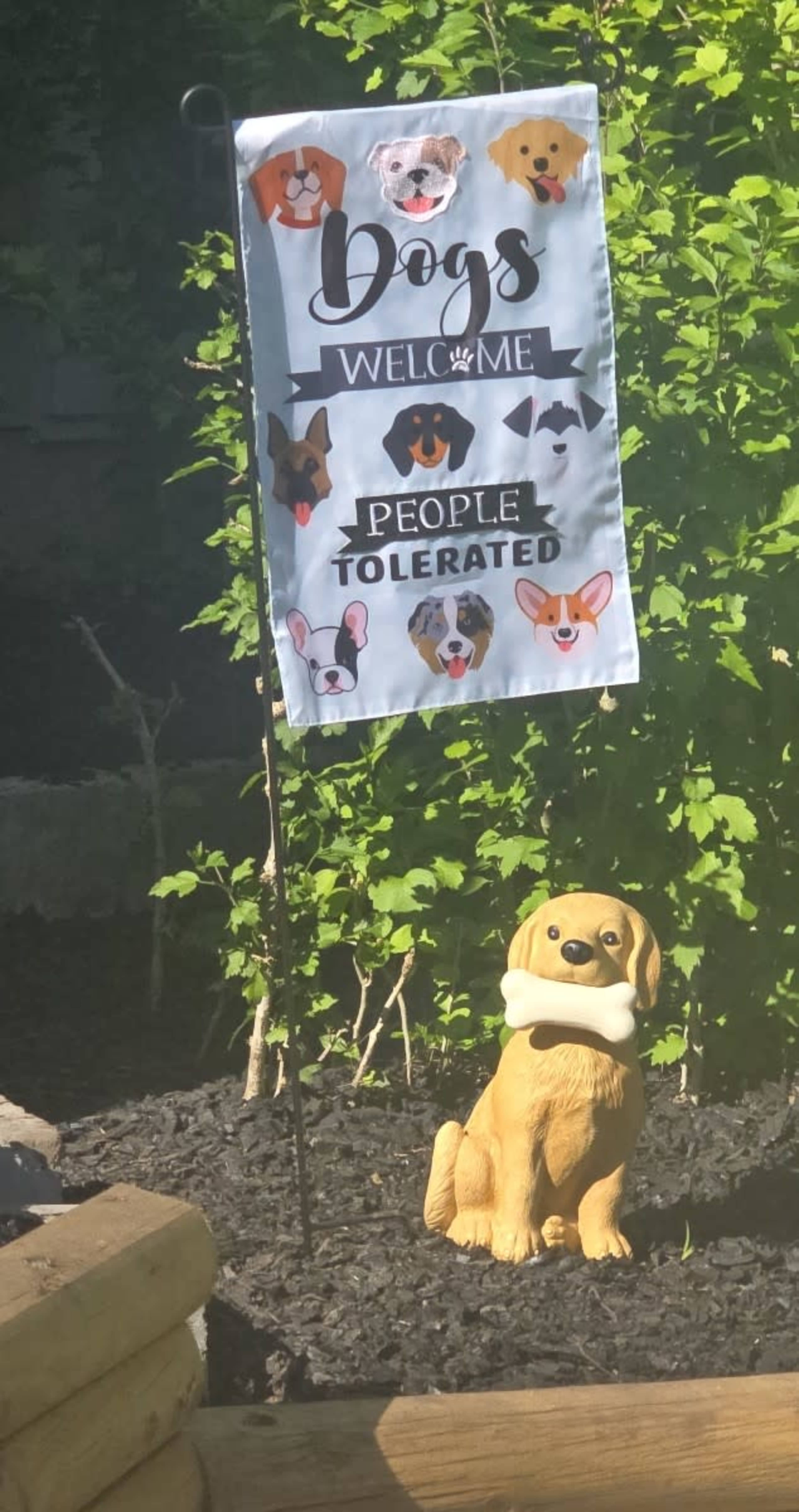 Heated Saltwater Pool and Spa Image in West Bloomfield Township, West Bloomfield Township, MI