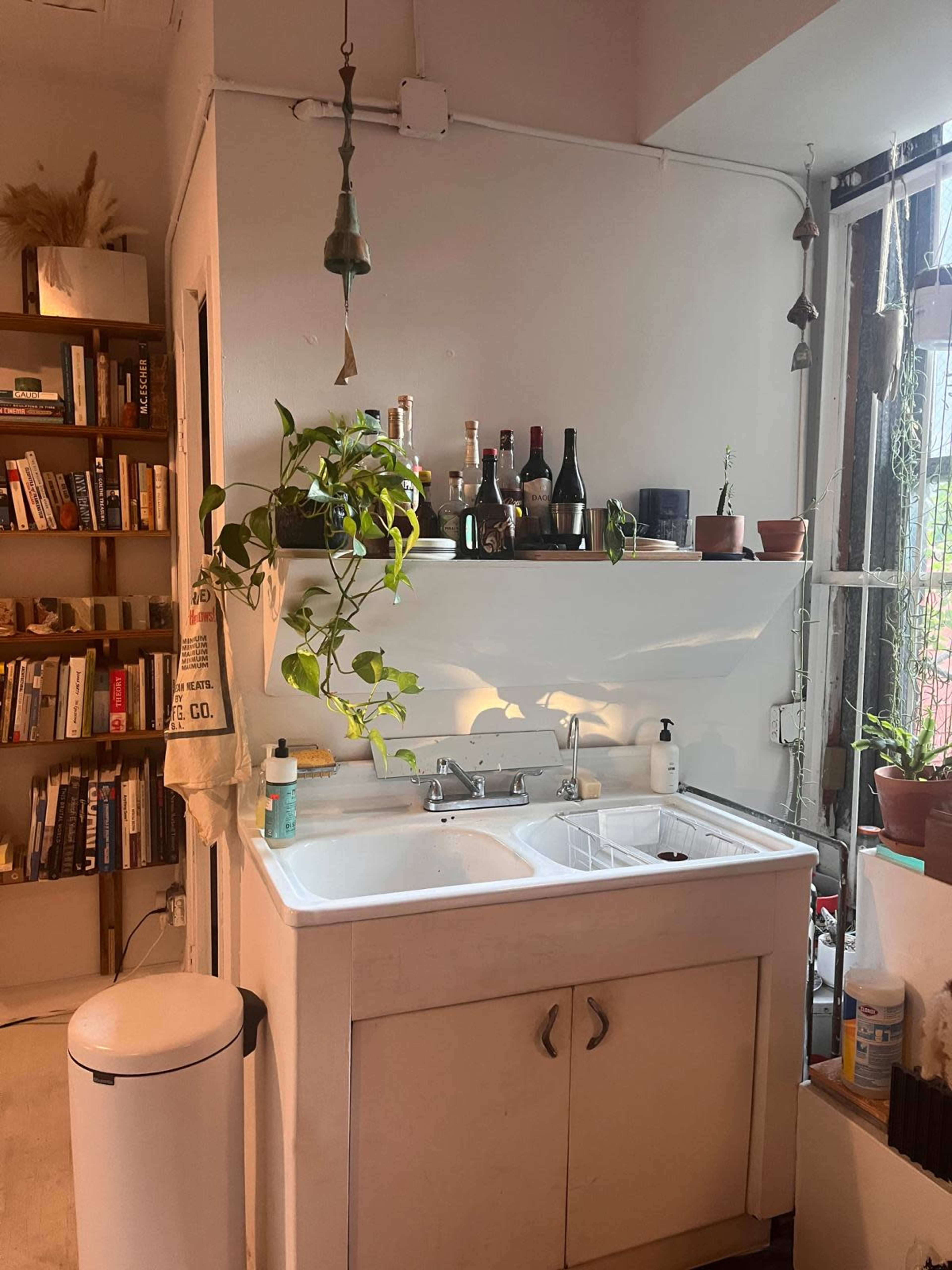 The image shows a small kitchen area featuring a sink, shelves with bottles, and potted plants near a window with natural light streaming in.