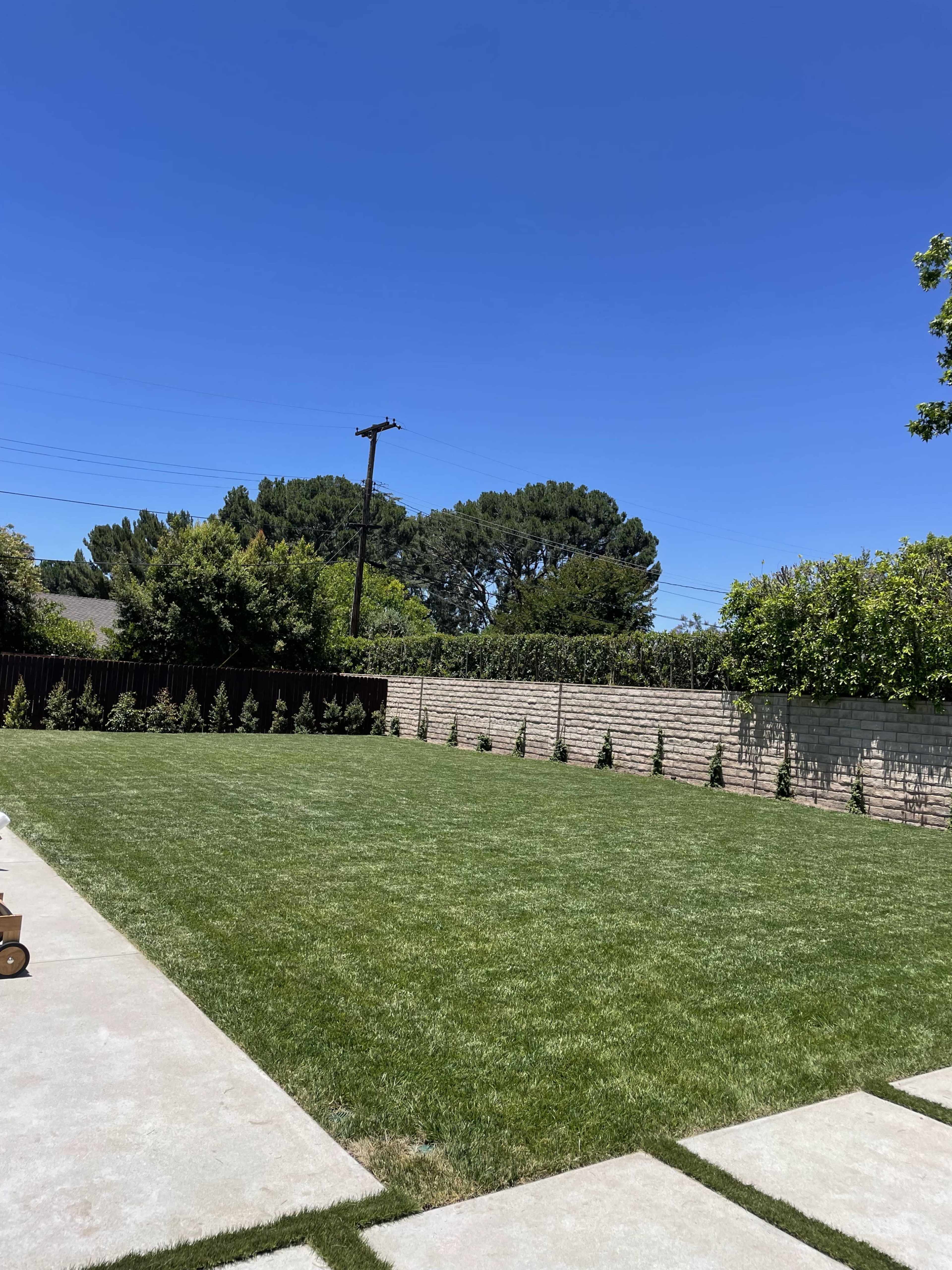 The image shows a grassy backyard fenced by a low stone wall, with small trees lining the perimeter under a clear blue sky.