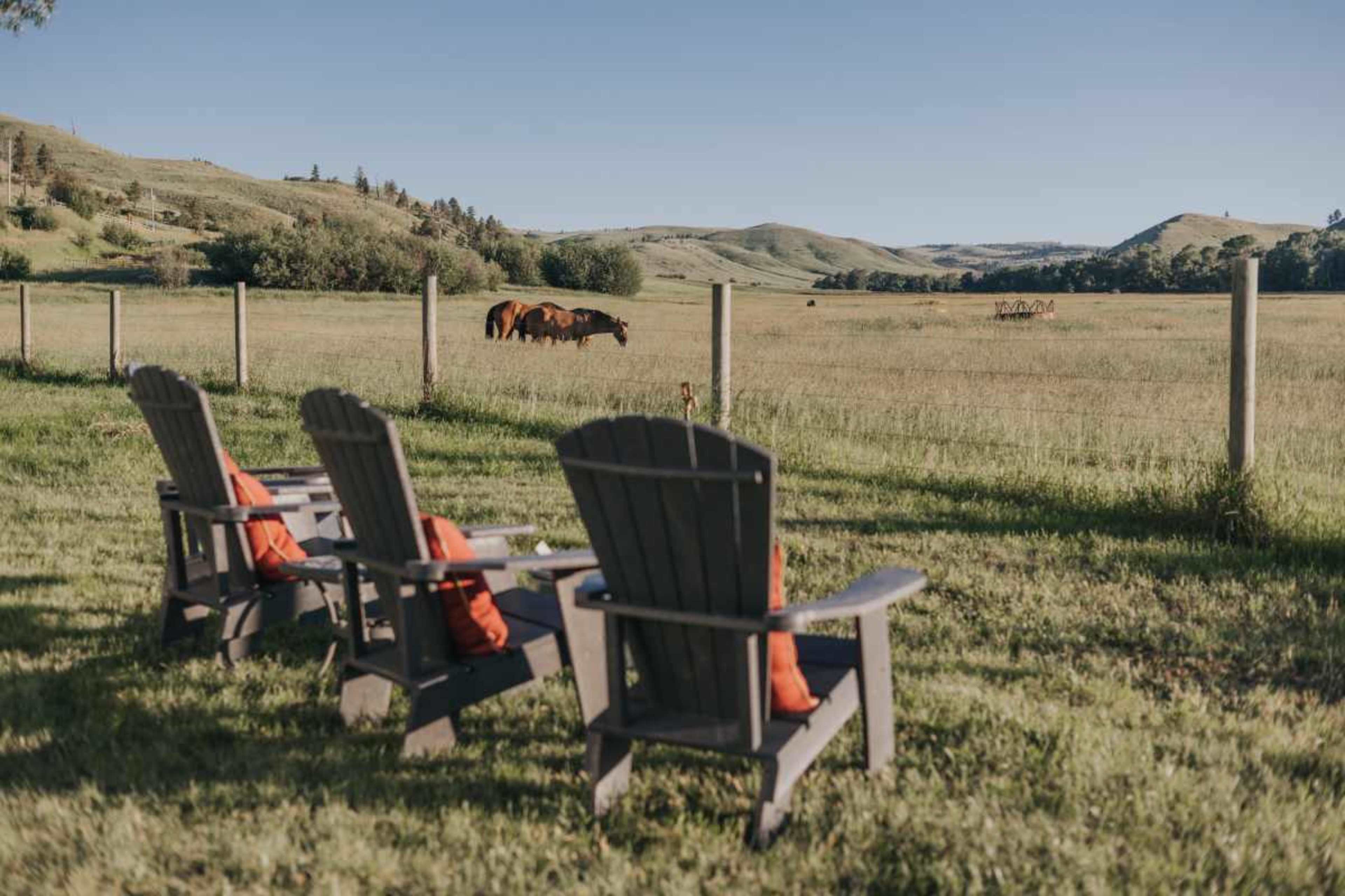 Three wooden chairs with orange cushions face a grassy field where horses are grazing in the distance, framed by rolling hills under a clear sky.