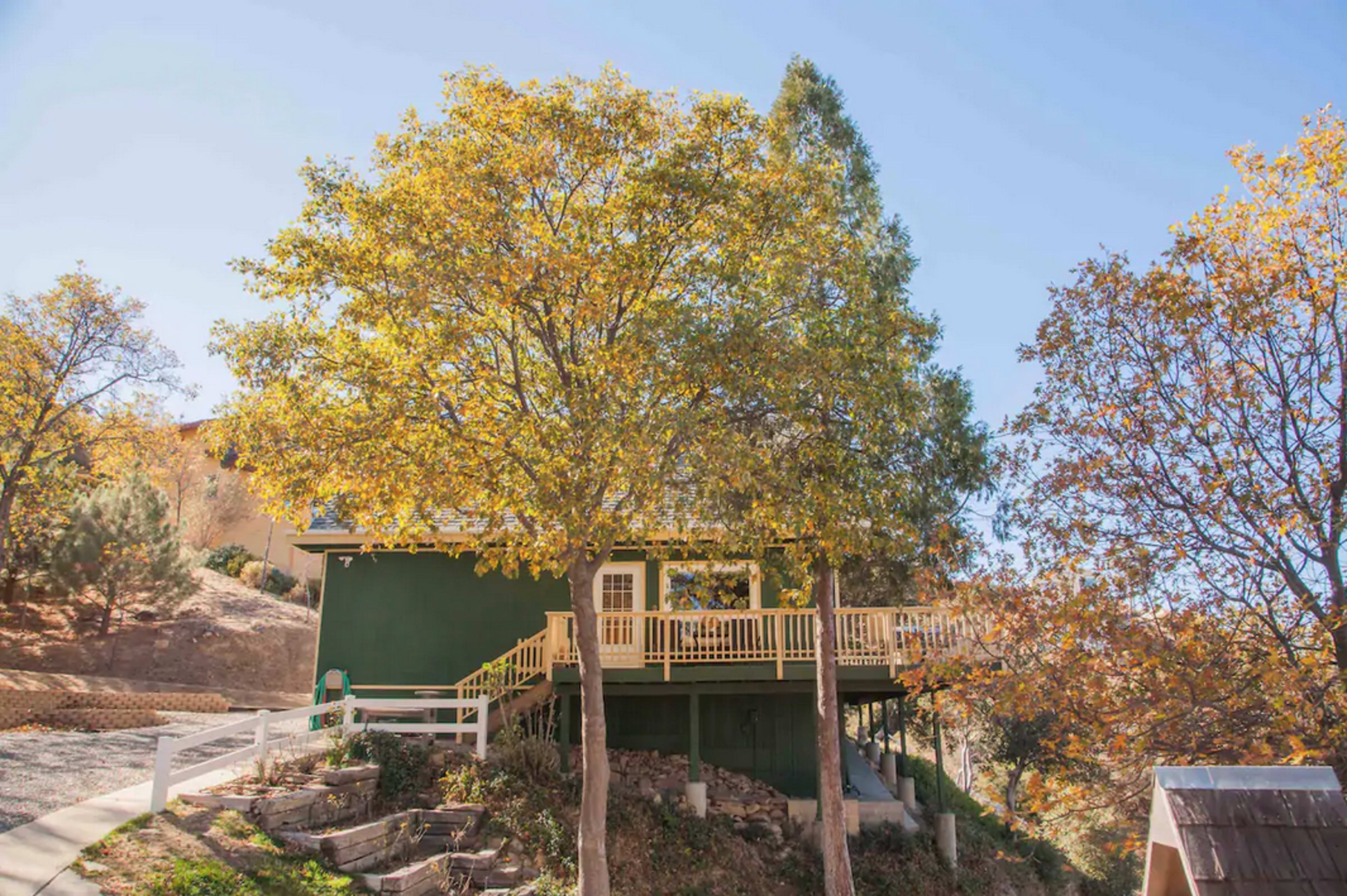 A green house with a front deck is surrounded by trees with autumn foliage.