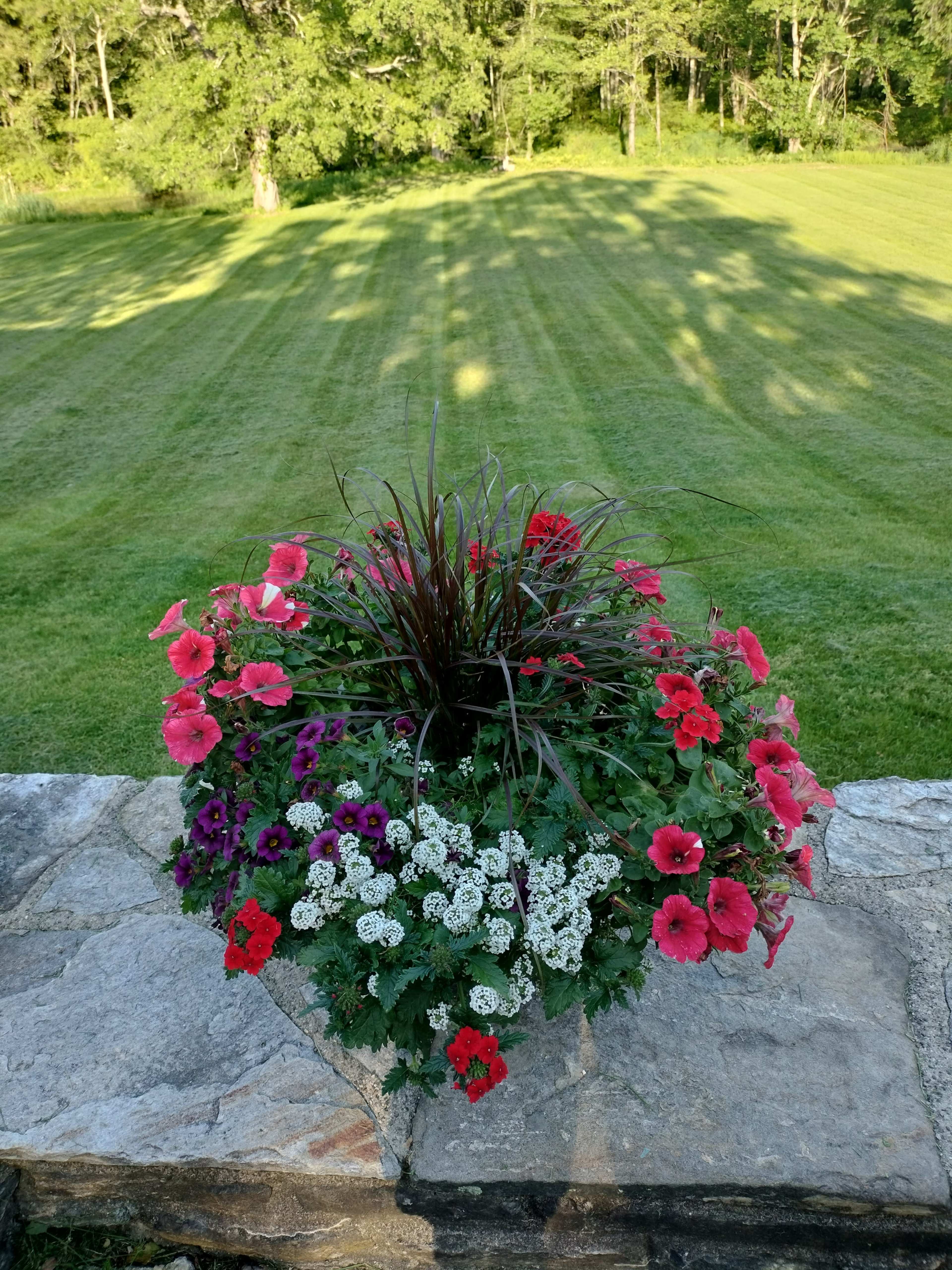 Country pastures, green heaven Image in Pomfret, Pomfret, CT