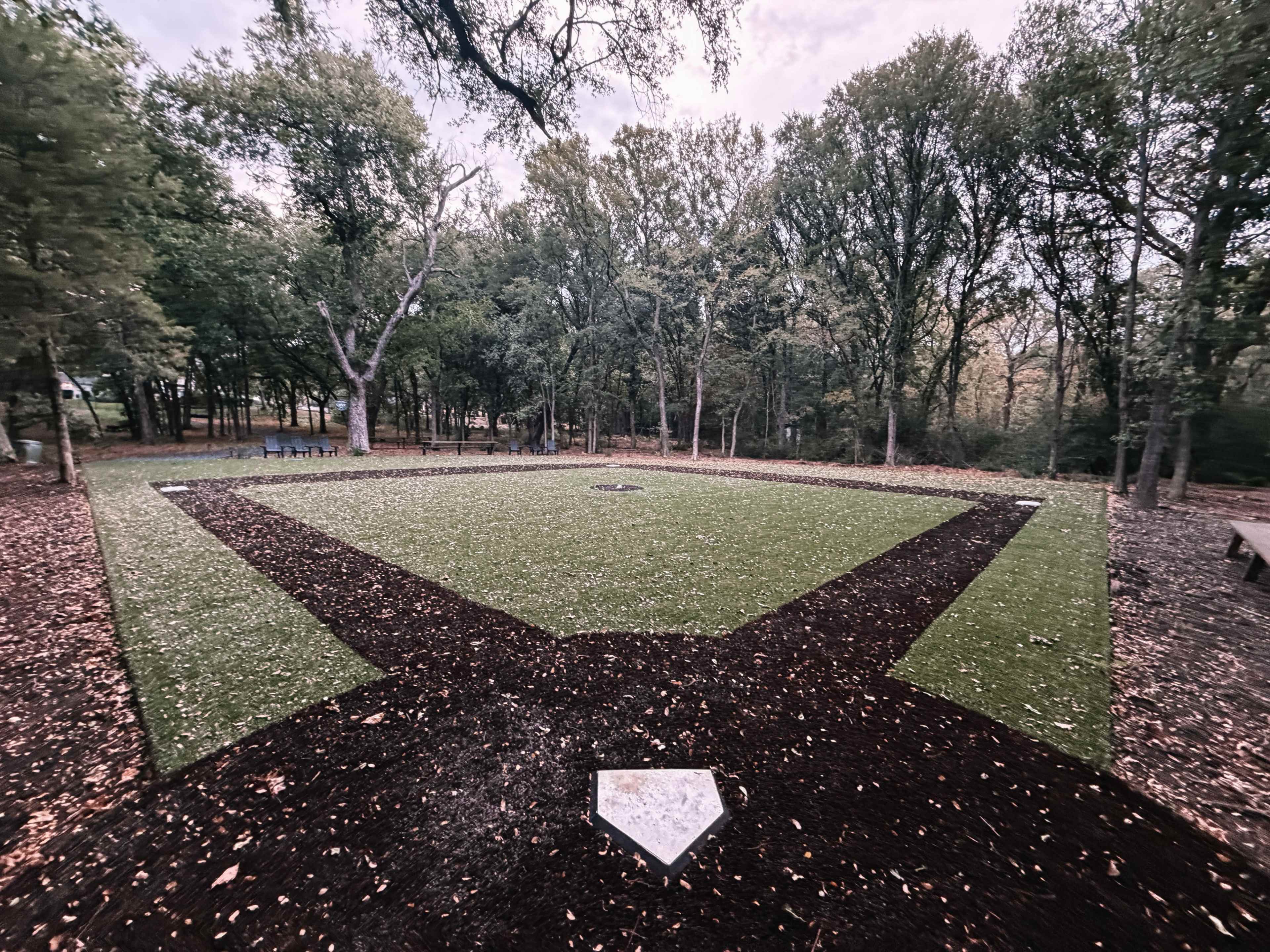 Private Backyard Turf Baseball Field in the Woods Image in Denton, Argyle, TX