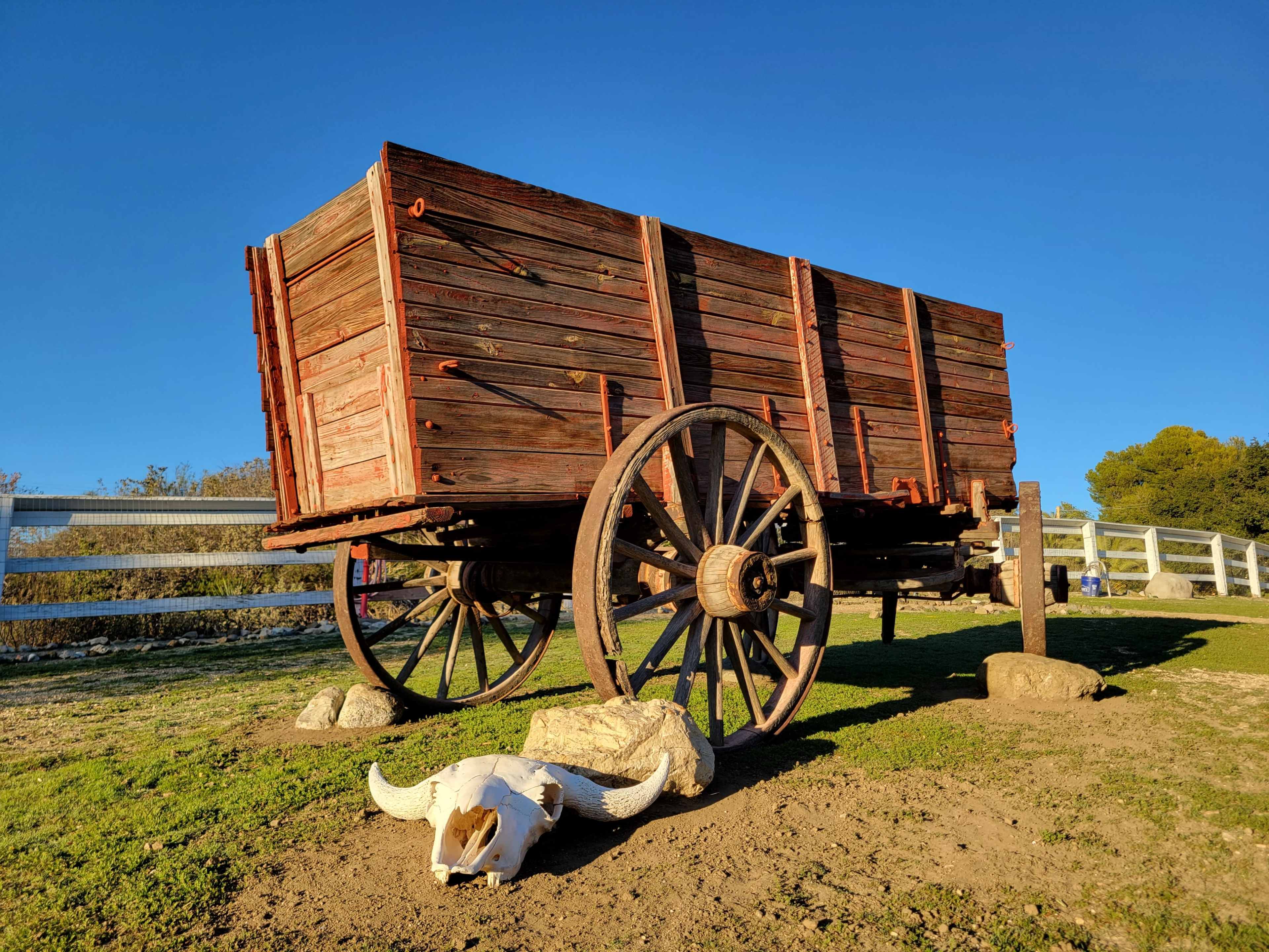 A vintage wooden wagon with large wheels stands next to a cow skull on the ground under a clear blue sky.