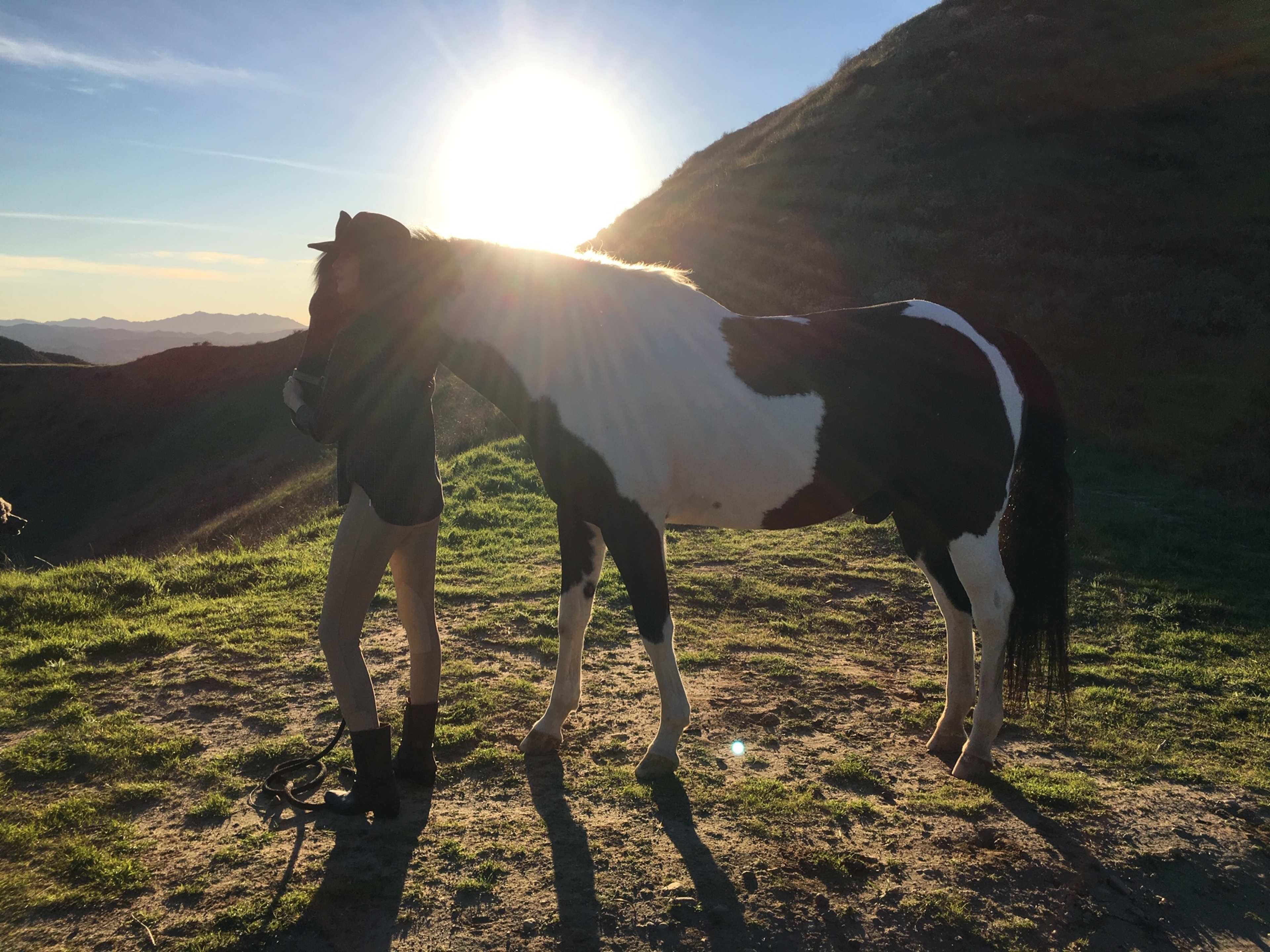 A person stands beside a black and white horse on a hillside with the sun rising behind them.