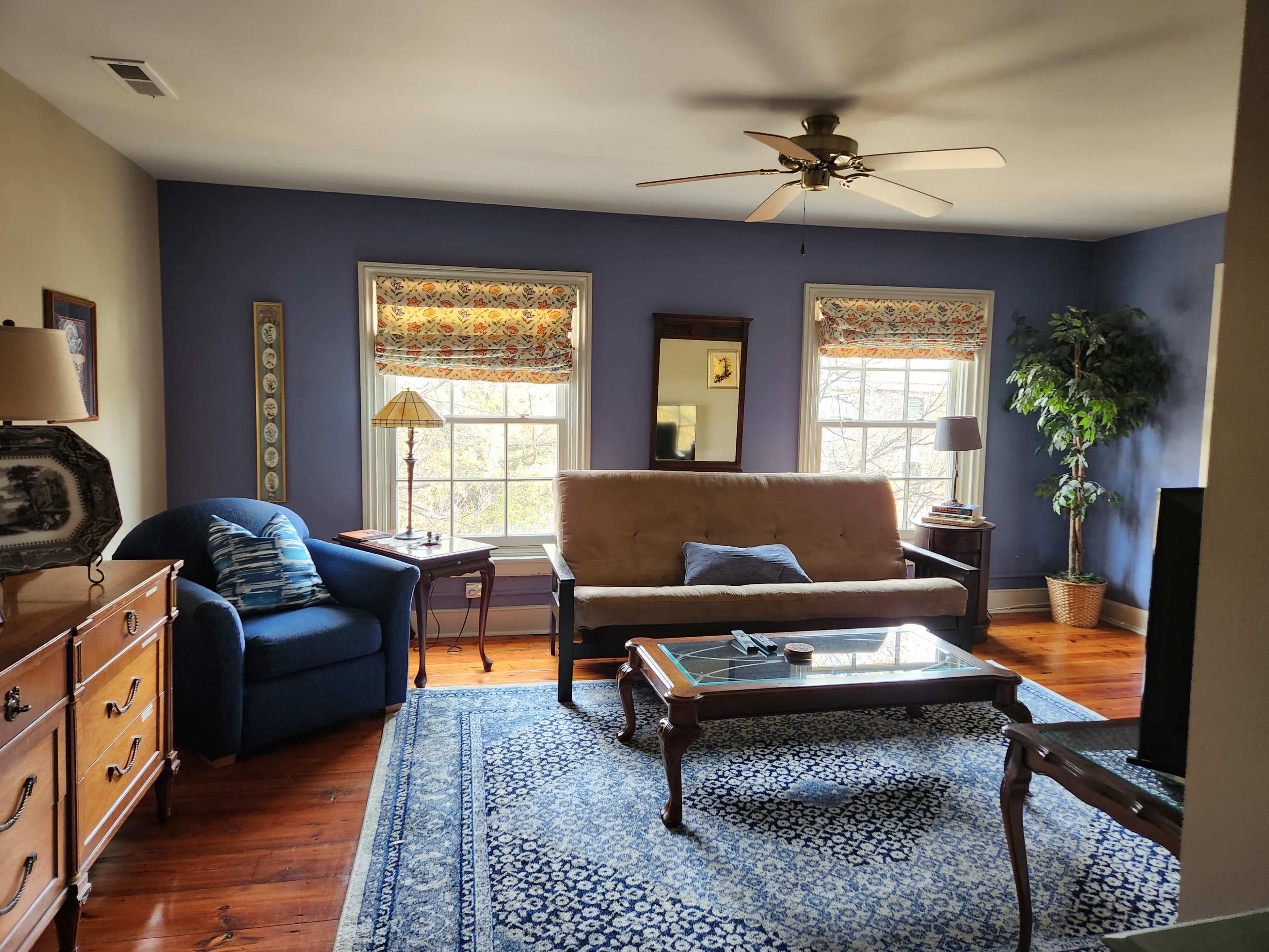 The living room features a futon, a blue armchair, two windows with patterned shades, and a wooden coffee table on a blue area rug.