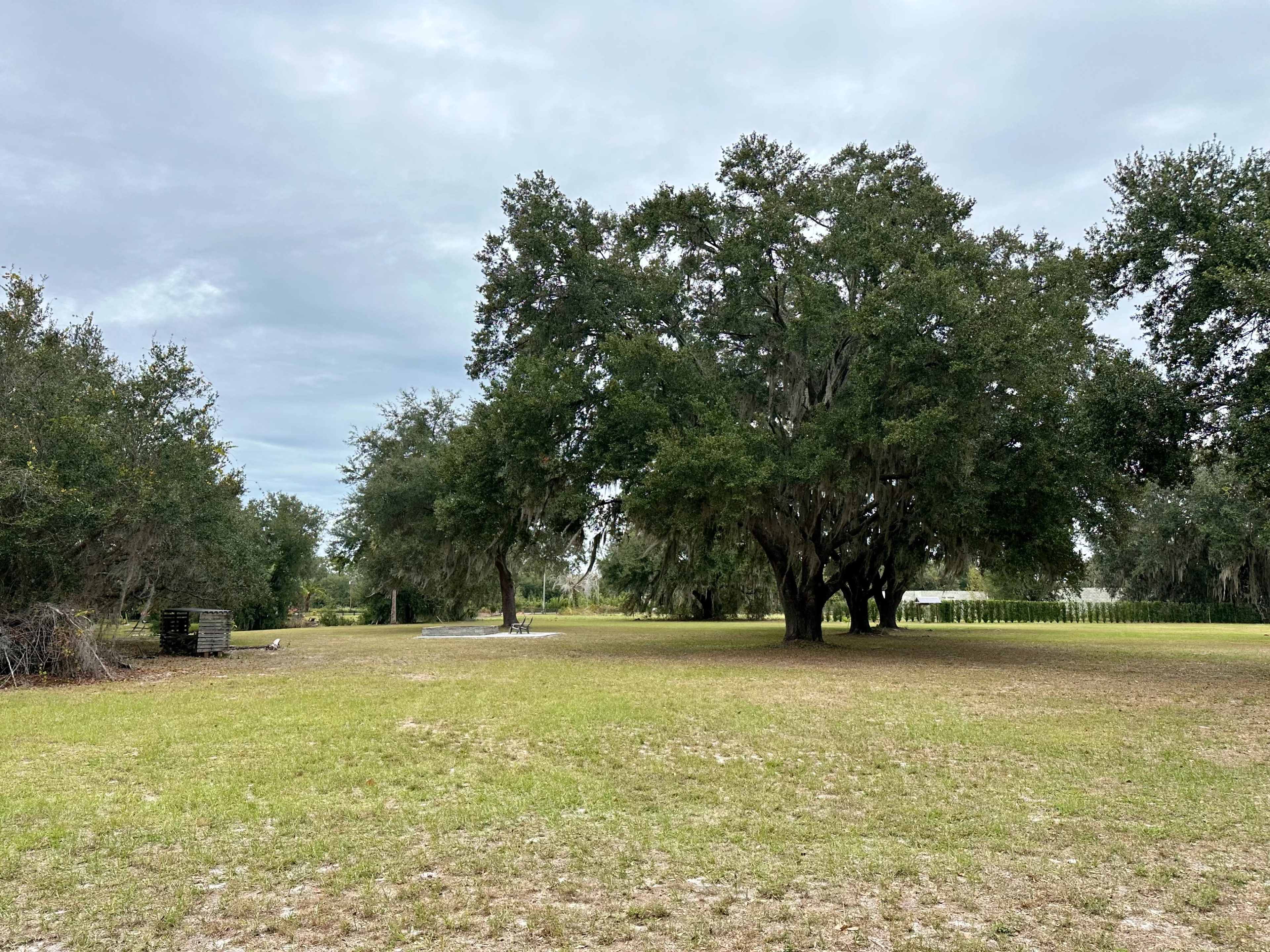 4.5 Acres of Outdoor Rural Space With Large Oak Trees and View of Water Image in , MOUNT DORA, FL