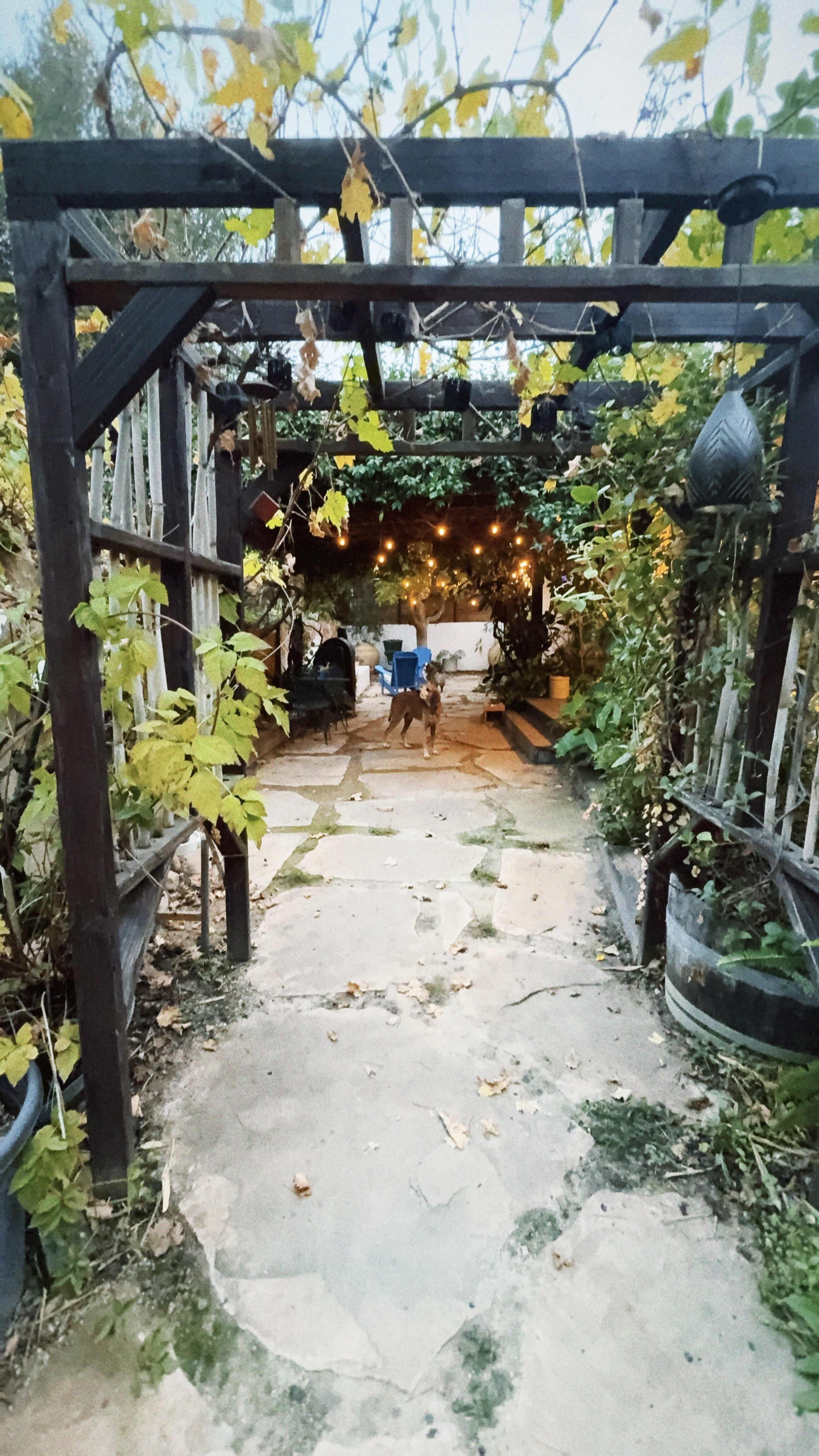 Boho Chic House with Gorgeous Garden Image in Mira Monte, Ojai, CA