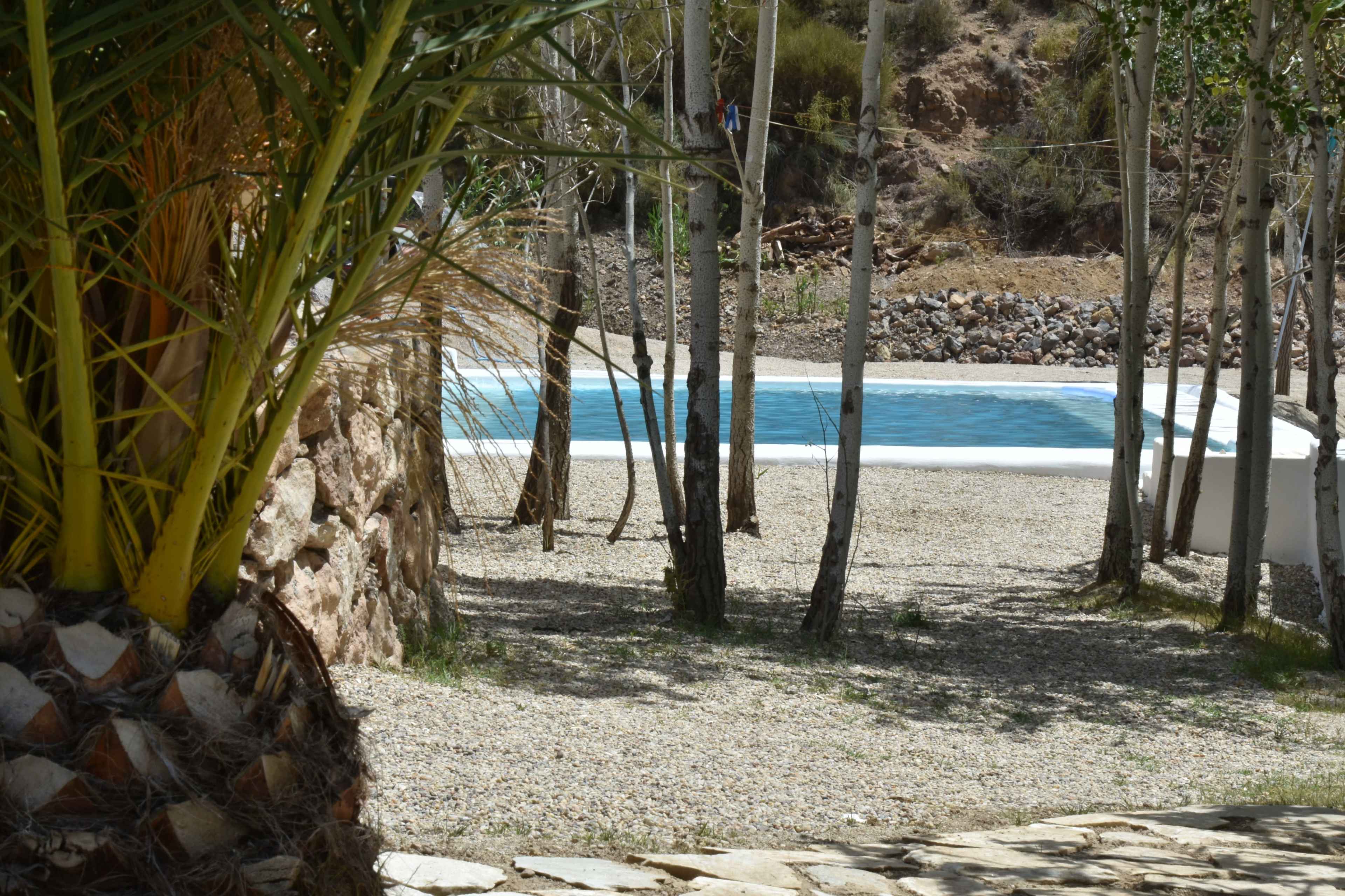 A swimming pool surrounded by trees and gravel is visible in the scene.