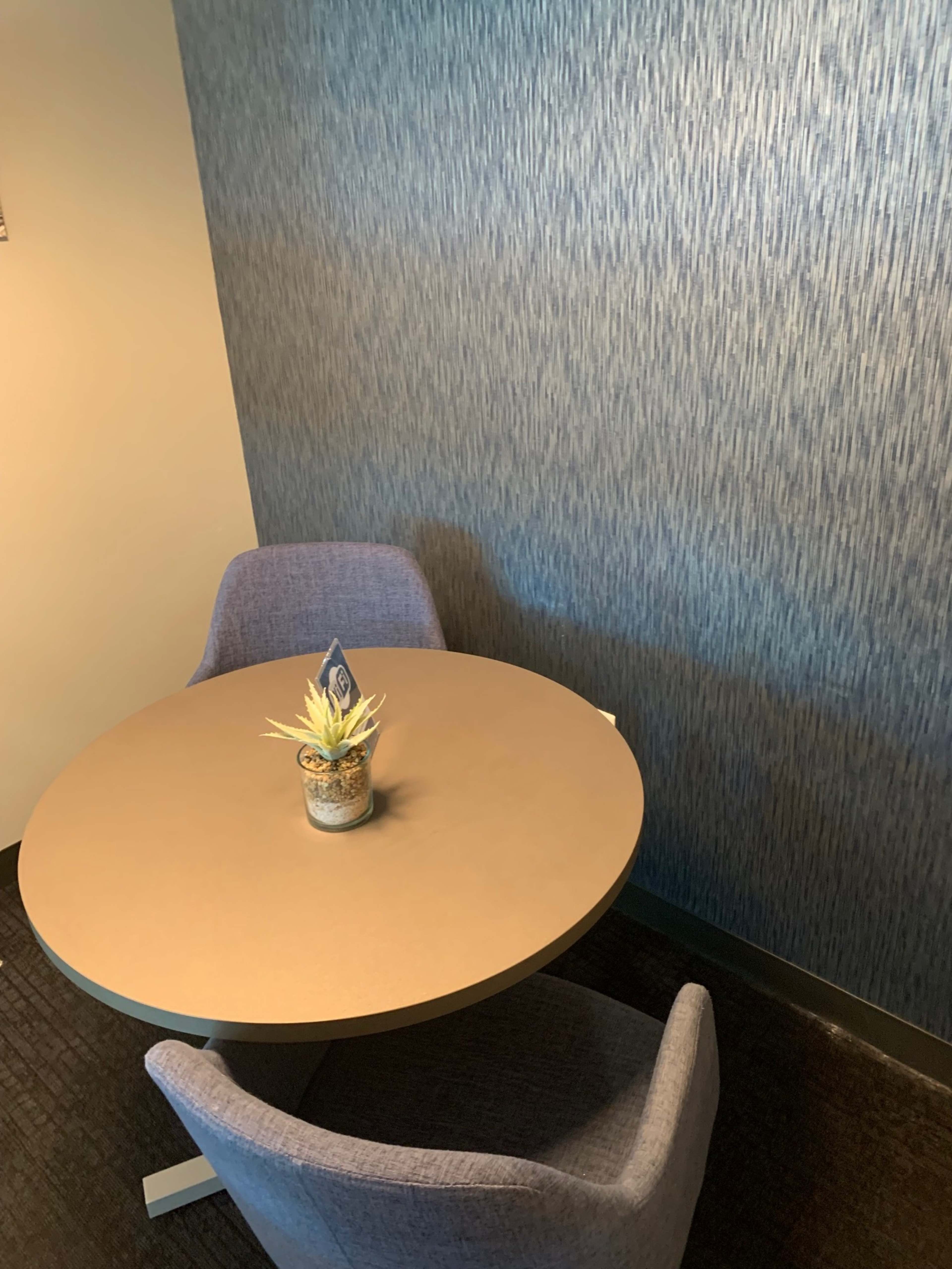 A small round table with a potted plant sits between two blue chairs, adjacent to a textured wall.