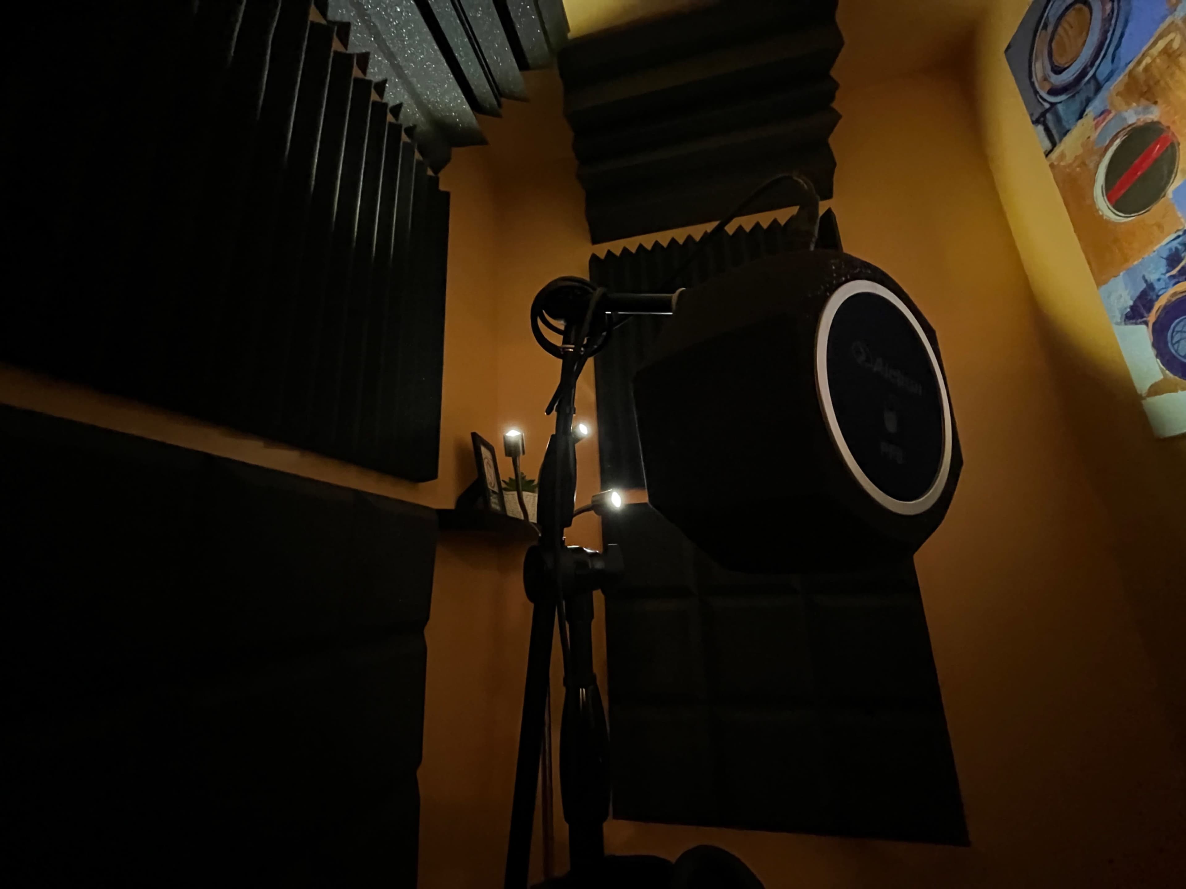 A microphone is mounted on a stand in a soundproof recording booth with acoustic foam panels on the walls.
