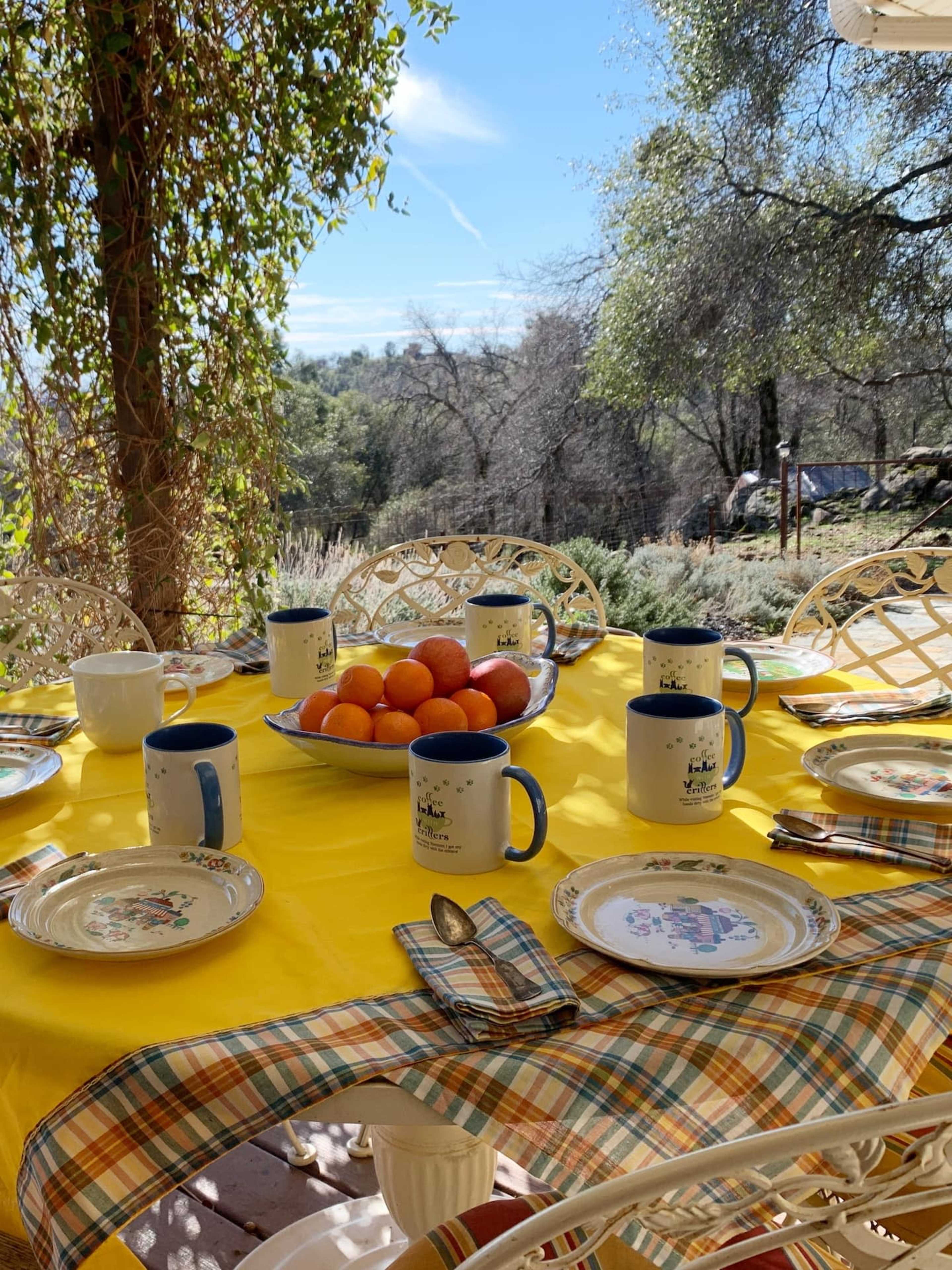 A set outdoor dining table is arranged with blue and white mugs, plates, and a bowl of oranges, surrounded by greenery under a clear sky.