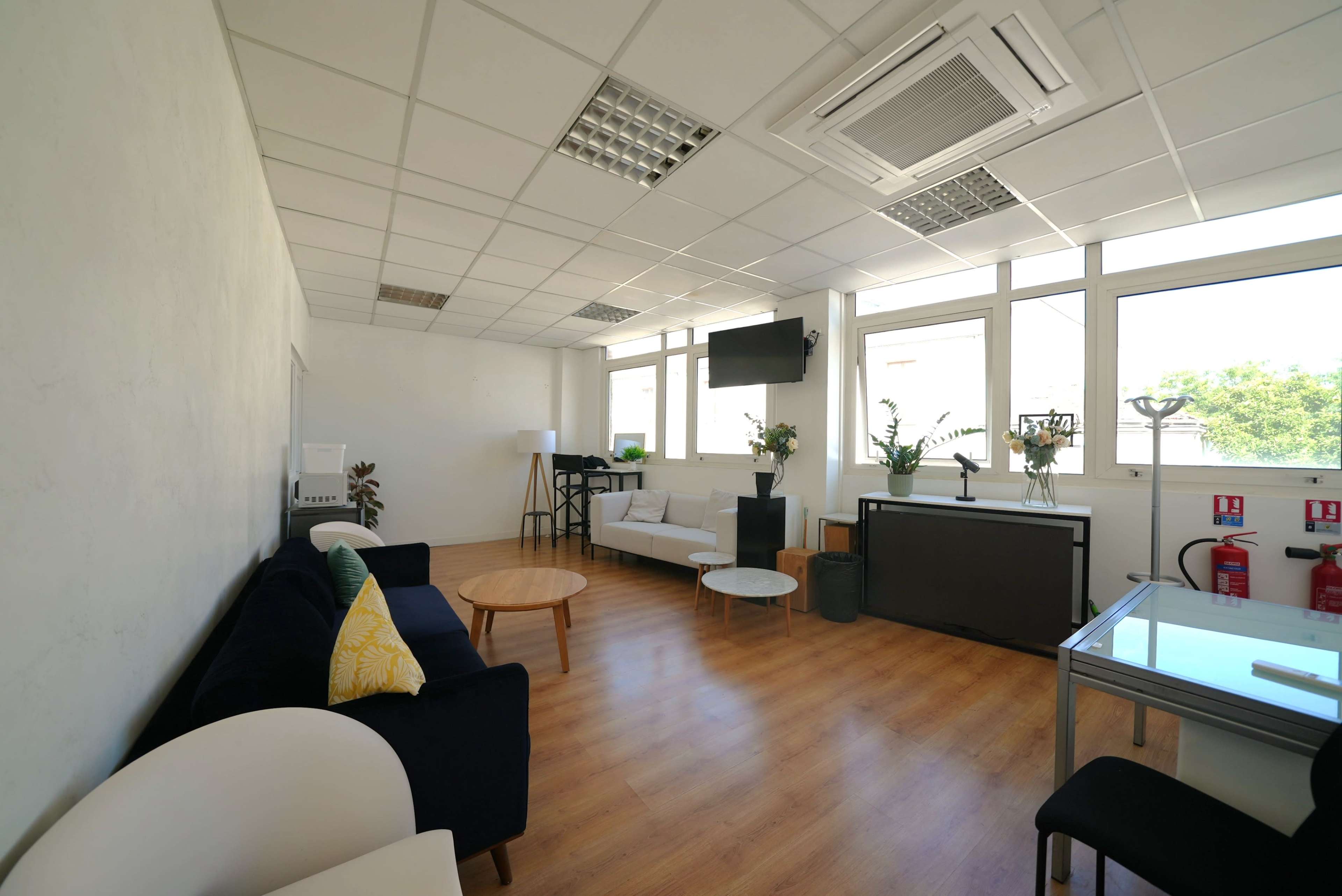 The image shows a spacious, well-lit room with wooden flooring, featuring a sofa, coffee table, television, and various plants near large windows.