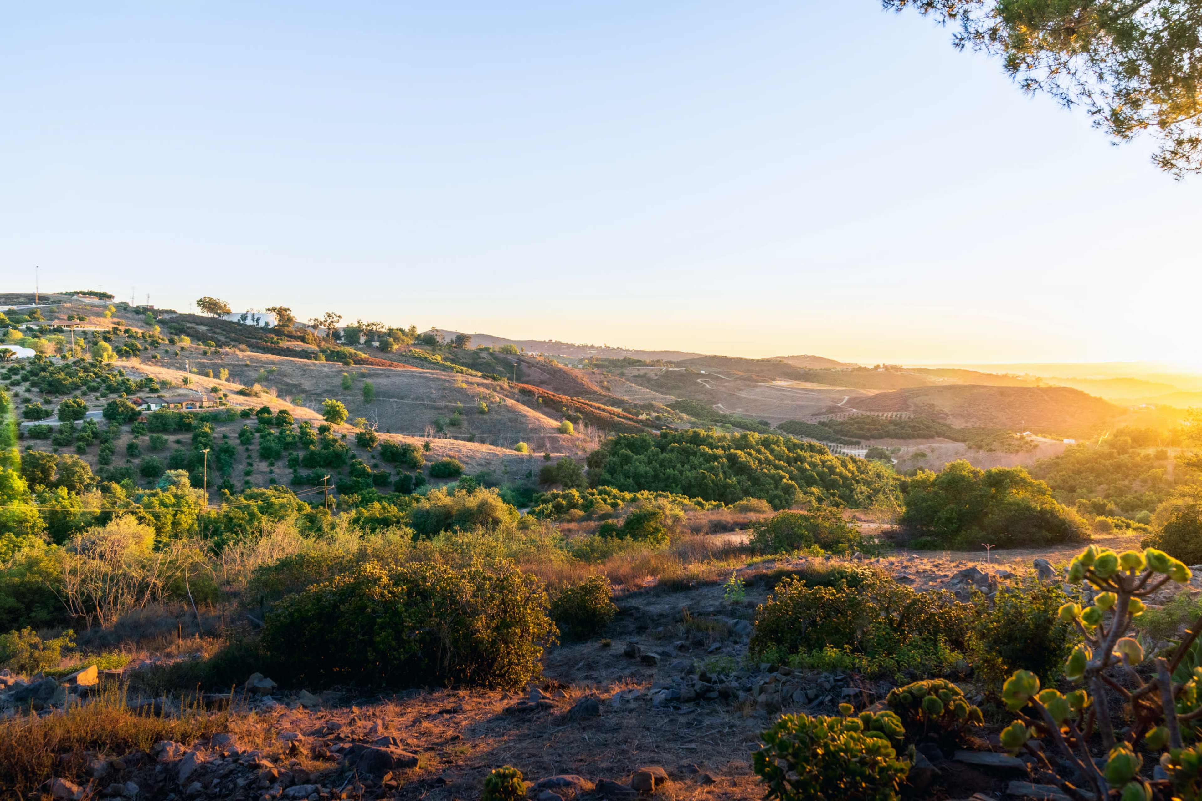 A landscape at sunset features rolling hills with scattered trees and shrubs.