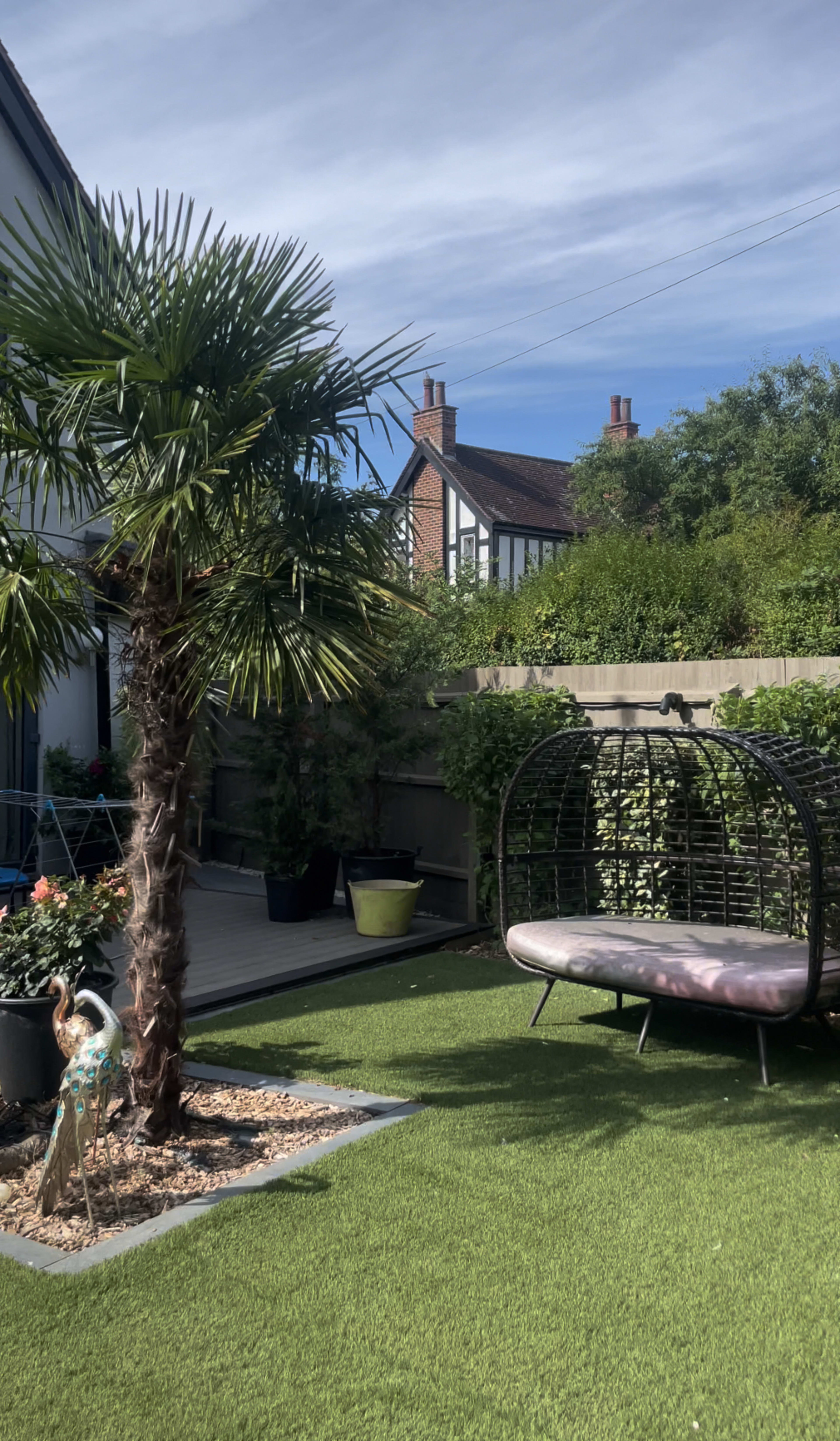 The image shows a garden scene featuring a palm tree, a black hanging chair, and green plants against a backdrop of a house with a pitched roof.
