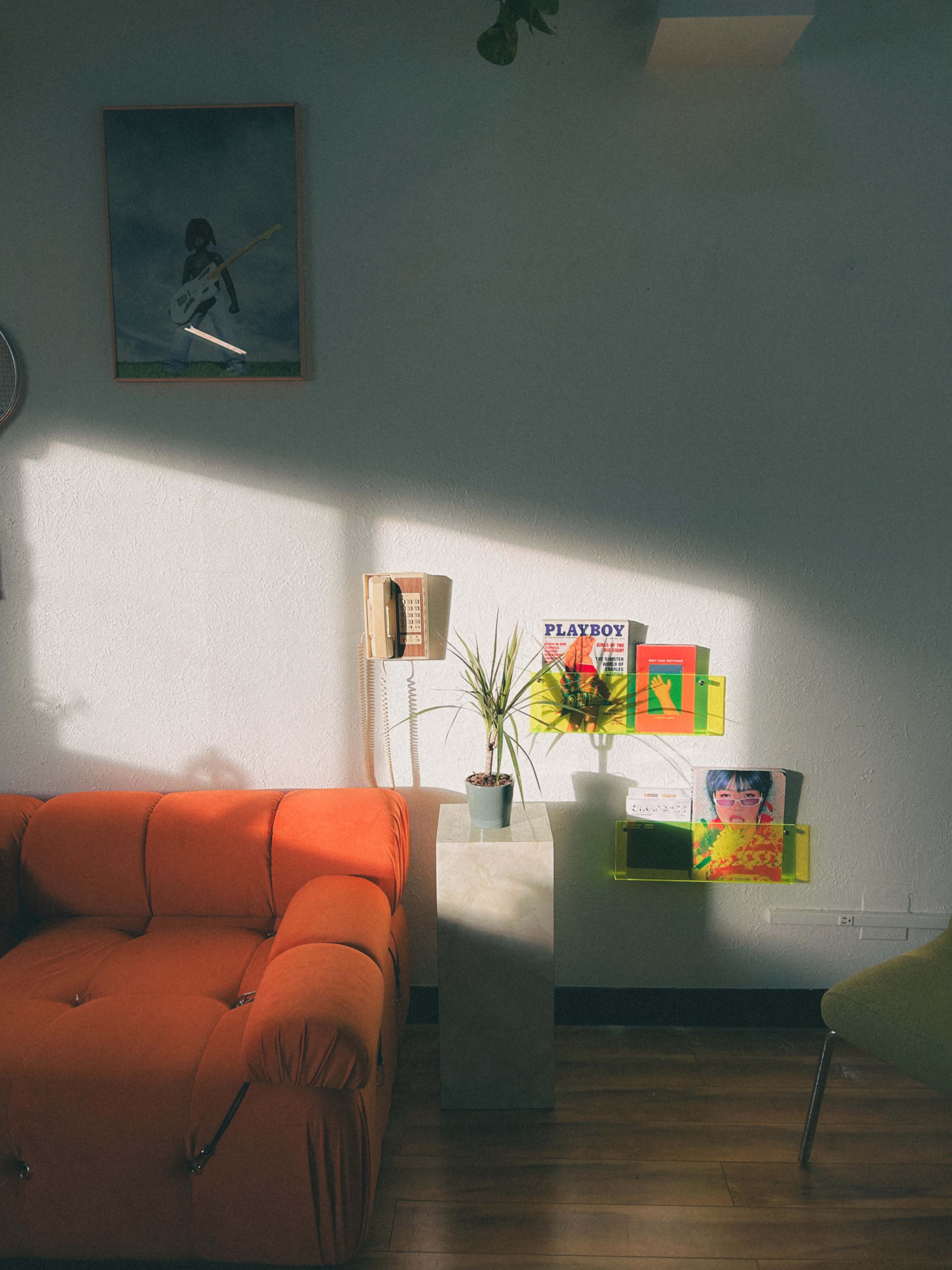 Versatile Studio Space - Perfect for Photoshoots, Art Shows, and Pop-Up Events Image in Baker, Denver, CO