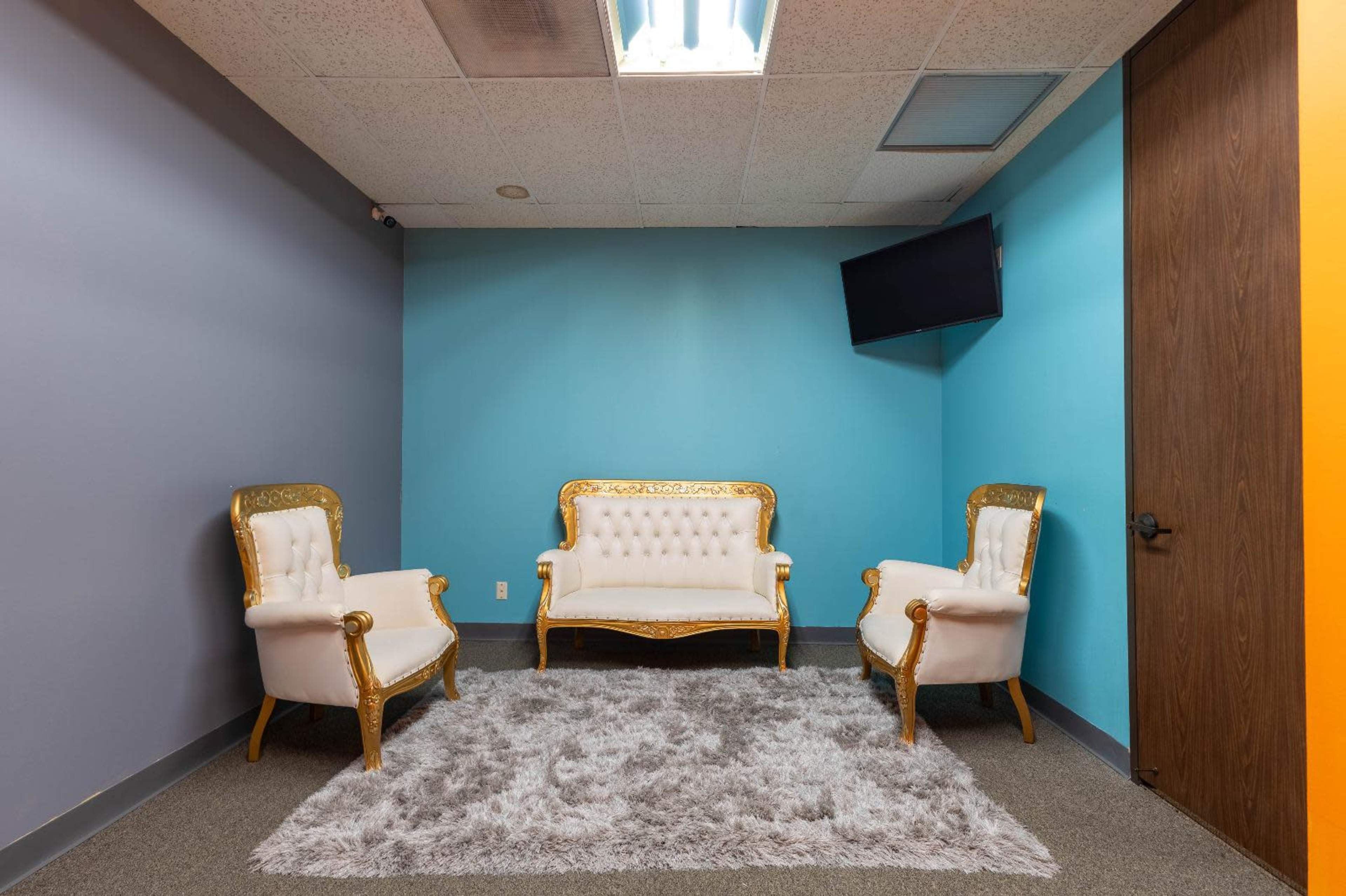unique BLACKOUT / VIBRANT contrast photo studio in Bellaire Image in Westside, Houston, TX