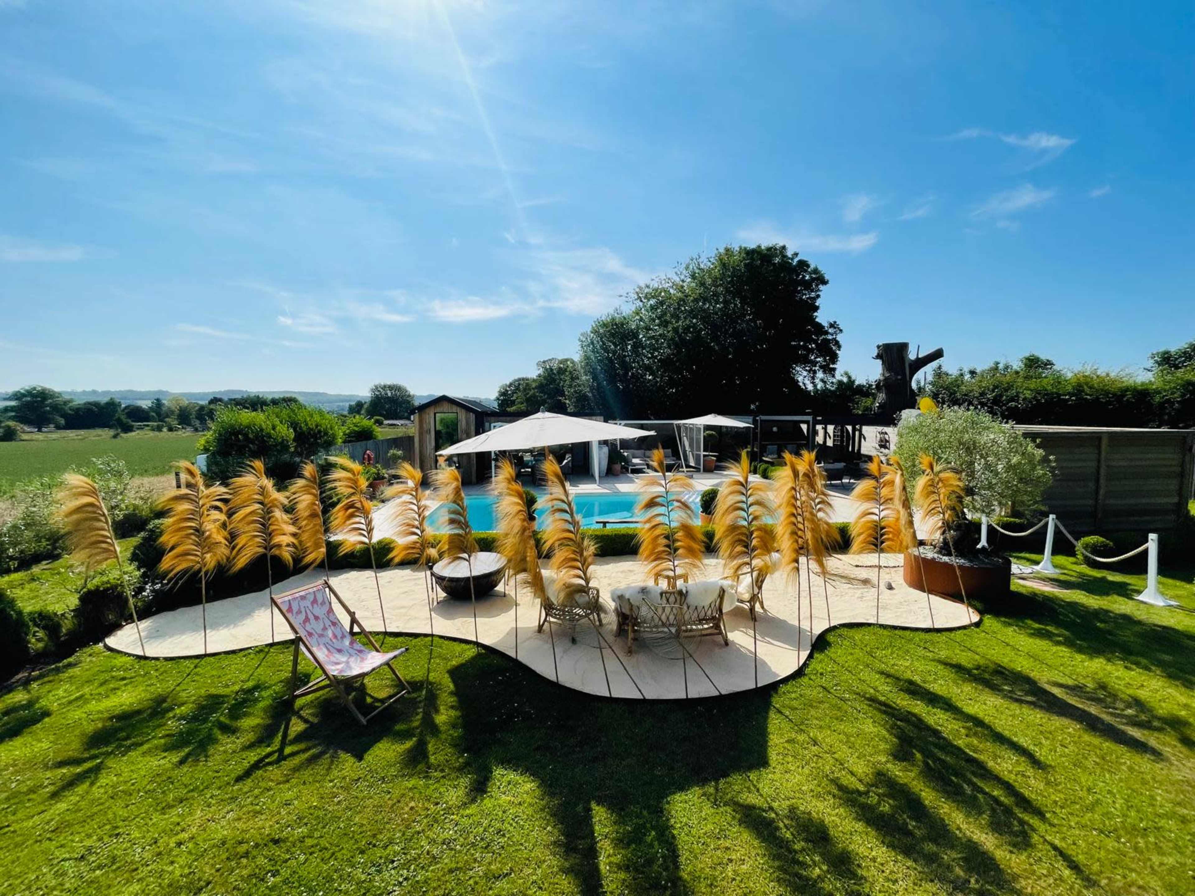 A swimming pool surrounded by a landscaped yard features tall grasses and lounge chairs under a clear blue sky.