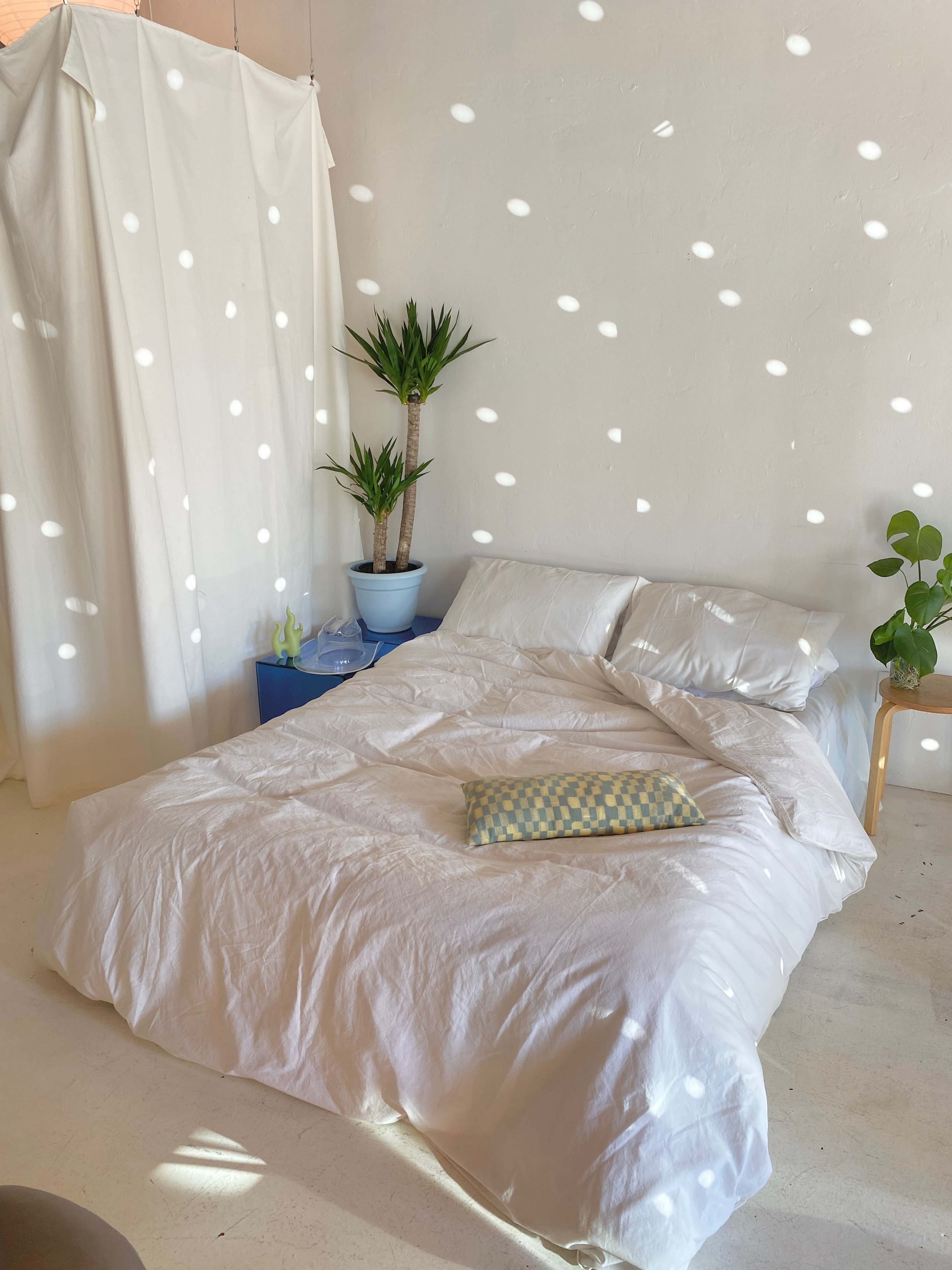 A neatly made bed with a white comforter is positioned in a bright room featuring plants and soft light filtering through a curtain.