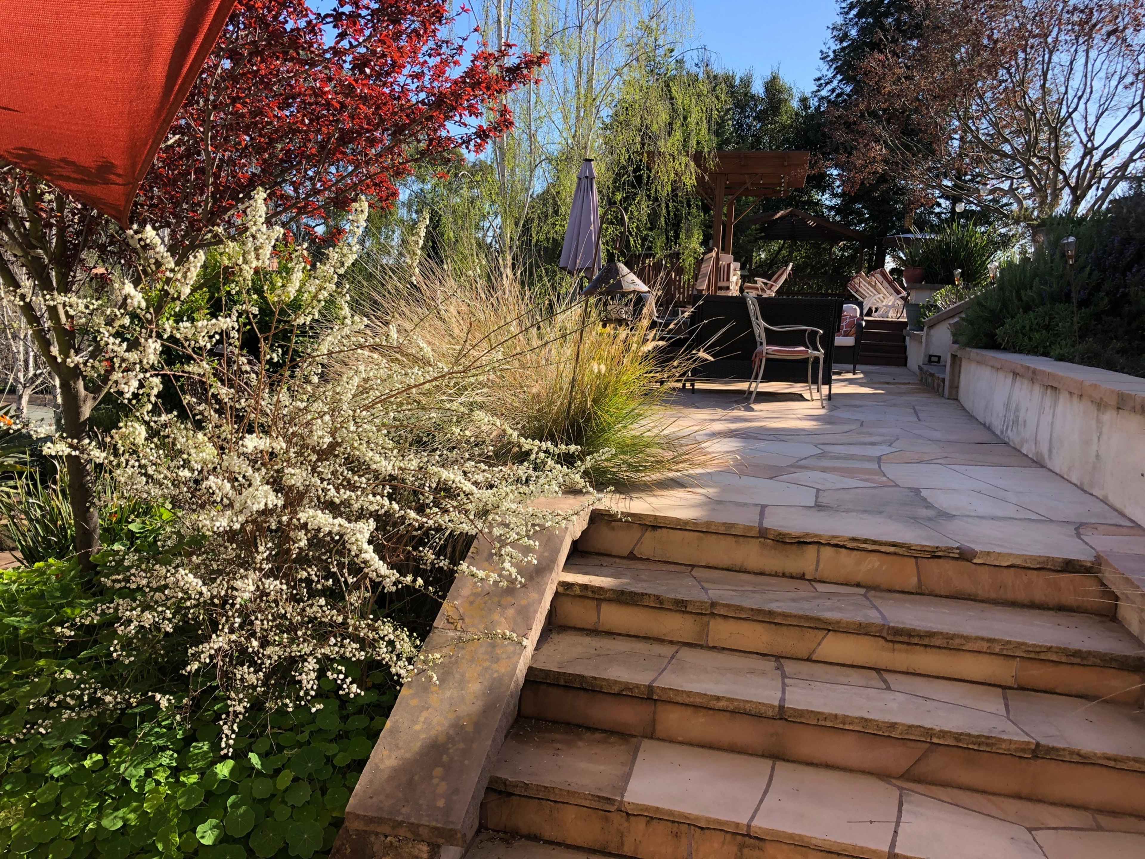 A stone pathway leading to a patio with seating, surrounded by various plants including flowering shrubs and greenery.
