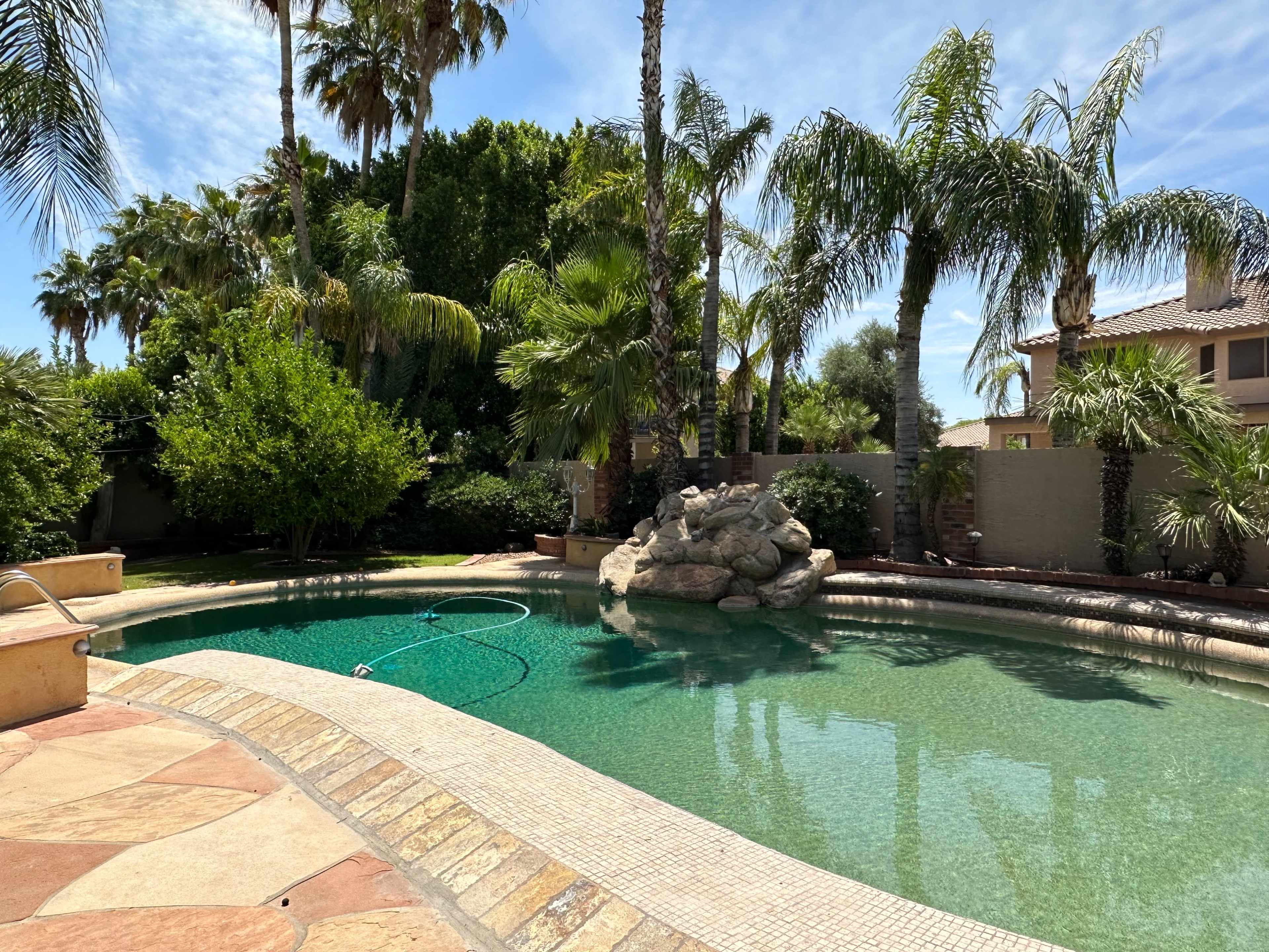 A swimming pool surrounded by palm trees and flowering plants, featuring a rock formation at one end.
