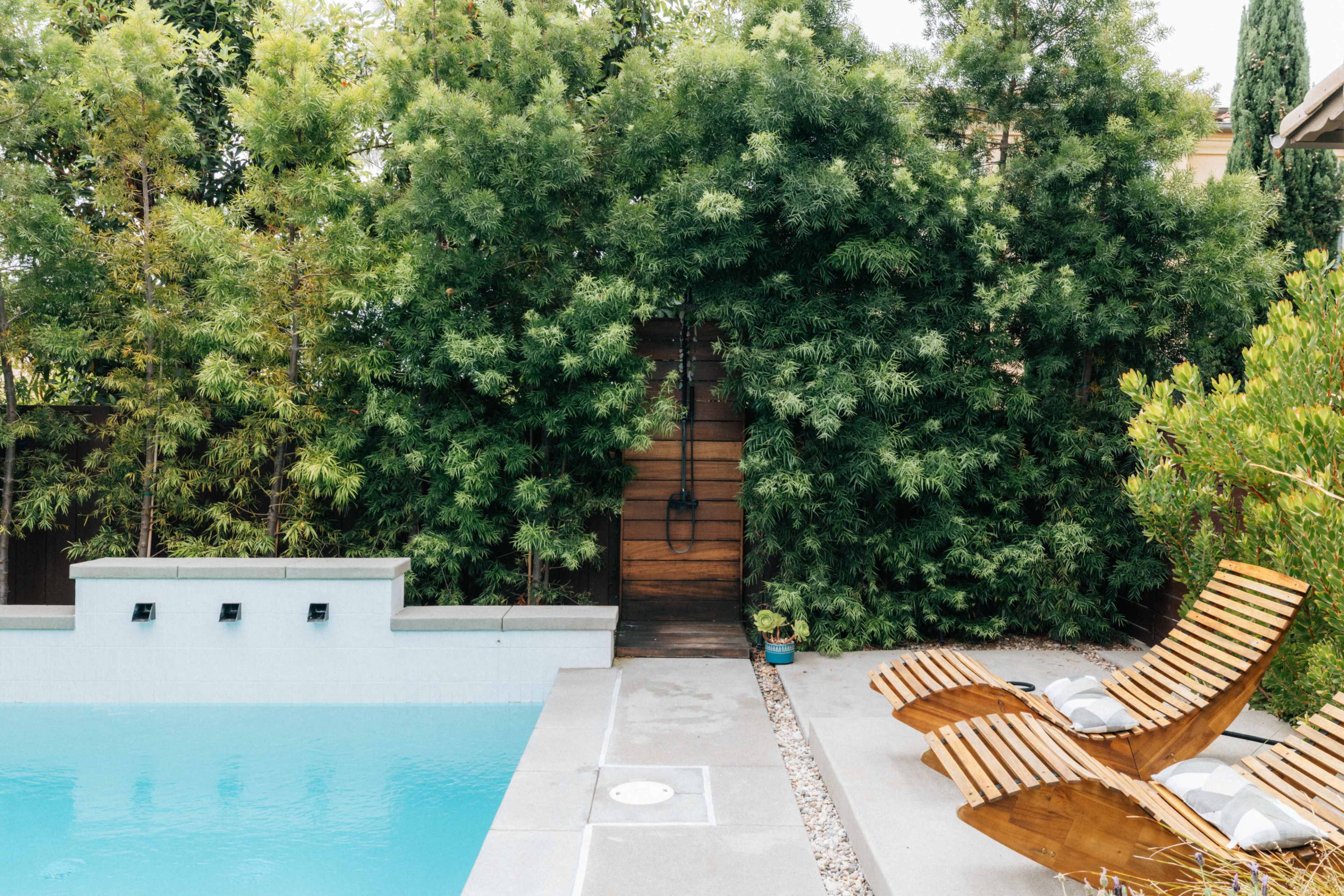 The image shows a modern pool area with a rectangular pool, wooden lounge chairs, and a dense green hedge that partially obscures a wooden door.