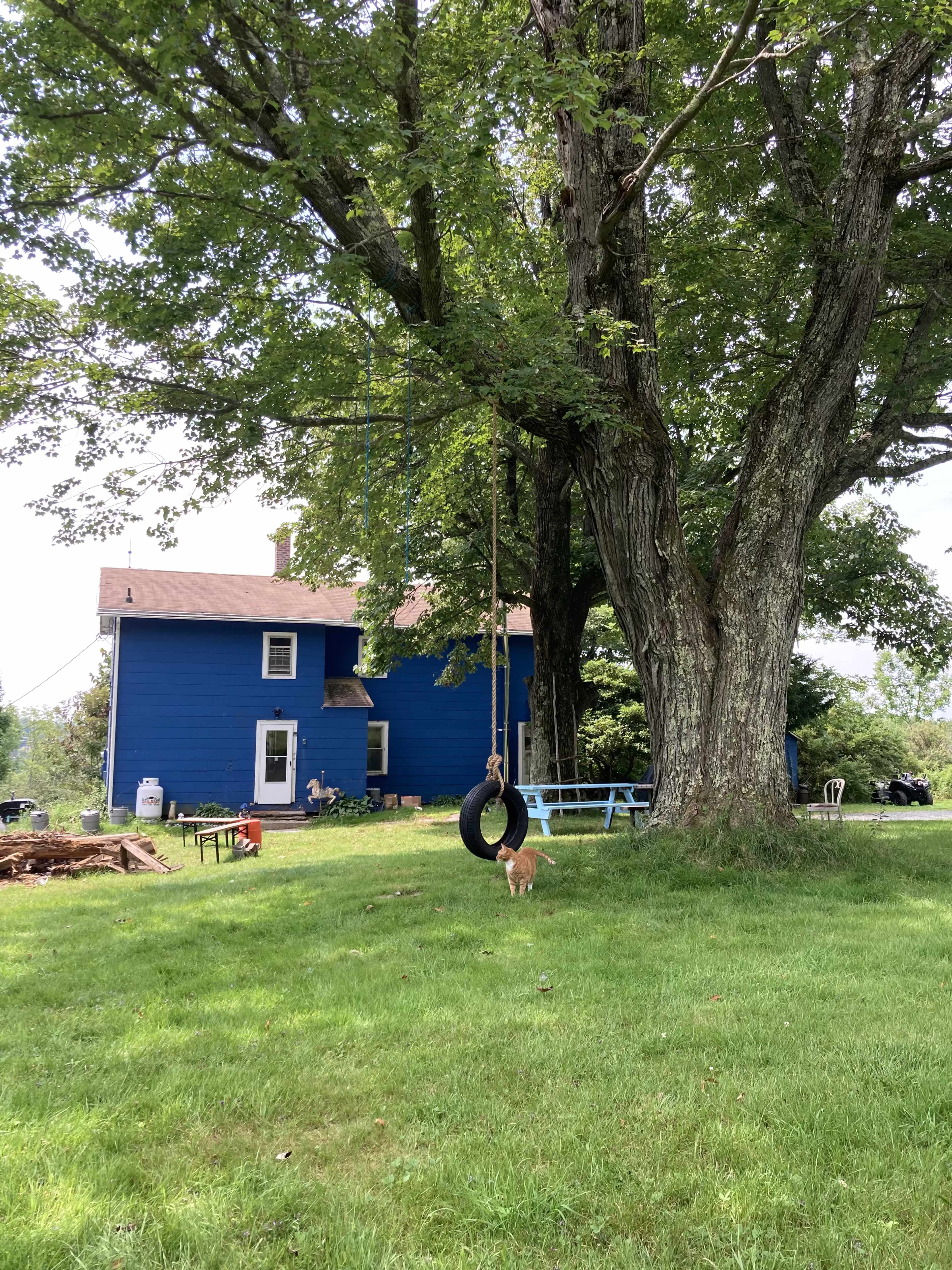 Expansive Farm in the Catskills Image in , Liberty, NY