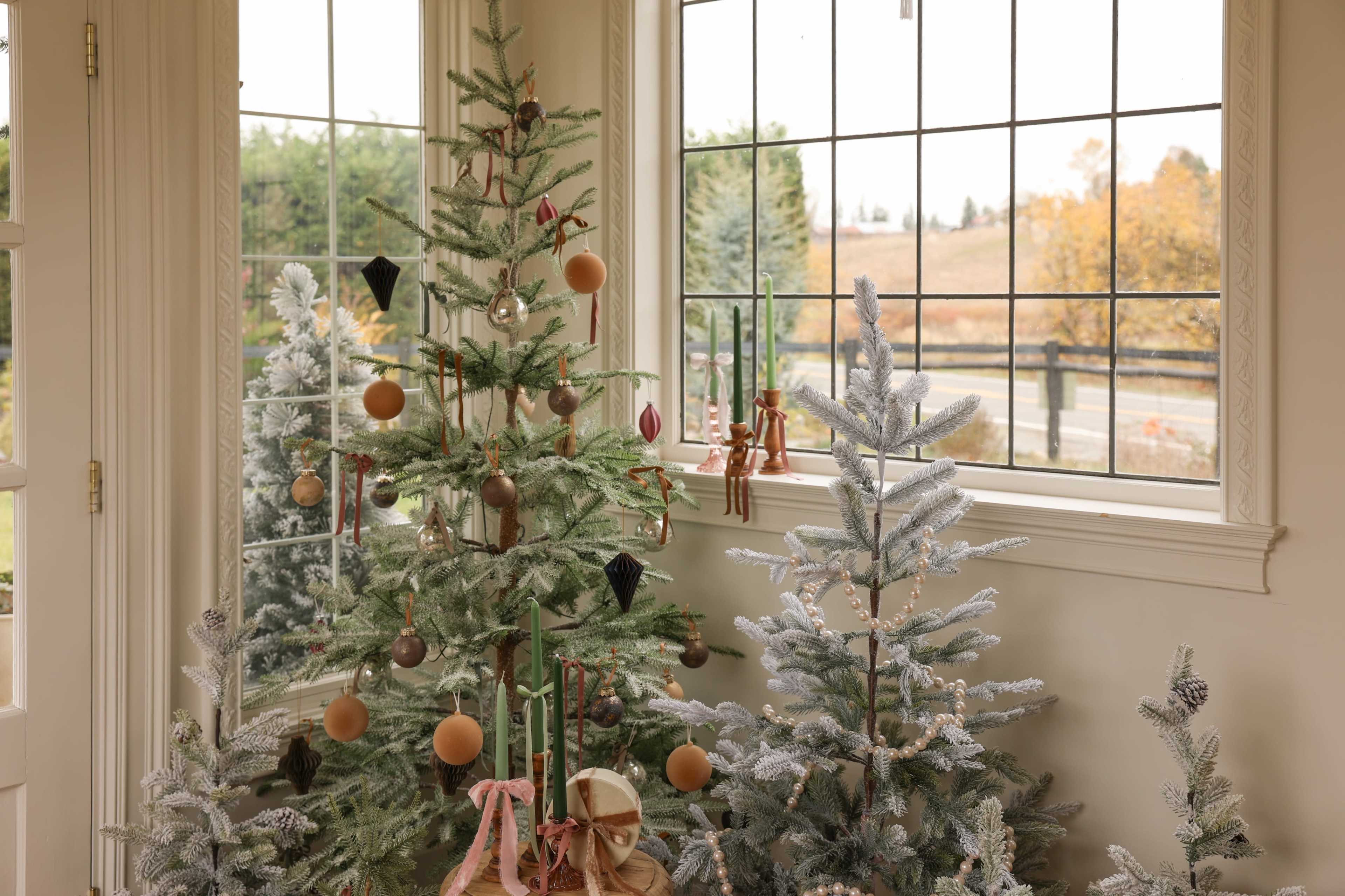 Countryside White French Studio Image in , auburn, WA