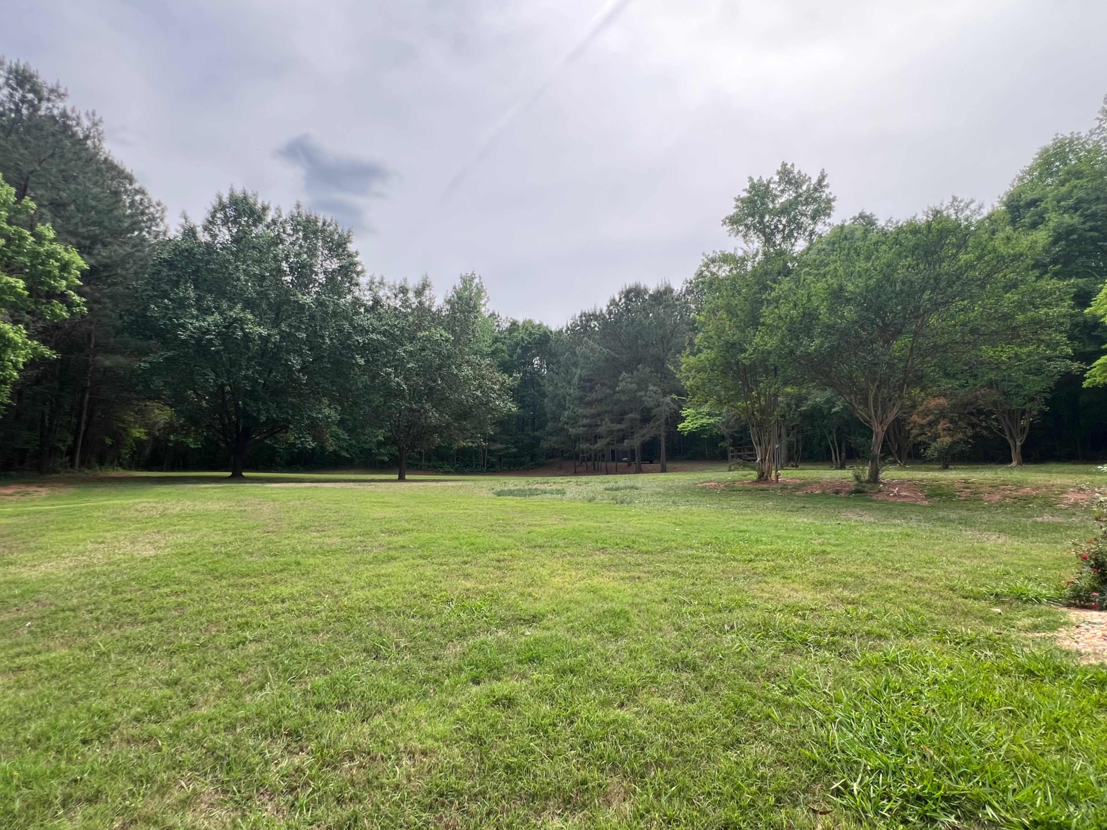A spacious green lawn is surrounded by various trees under a cloudy sky.