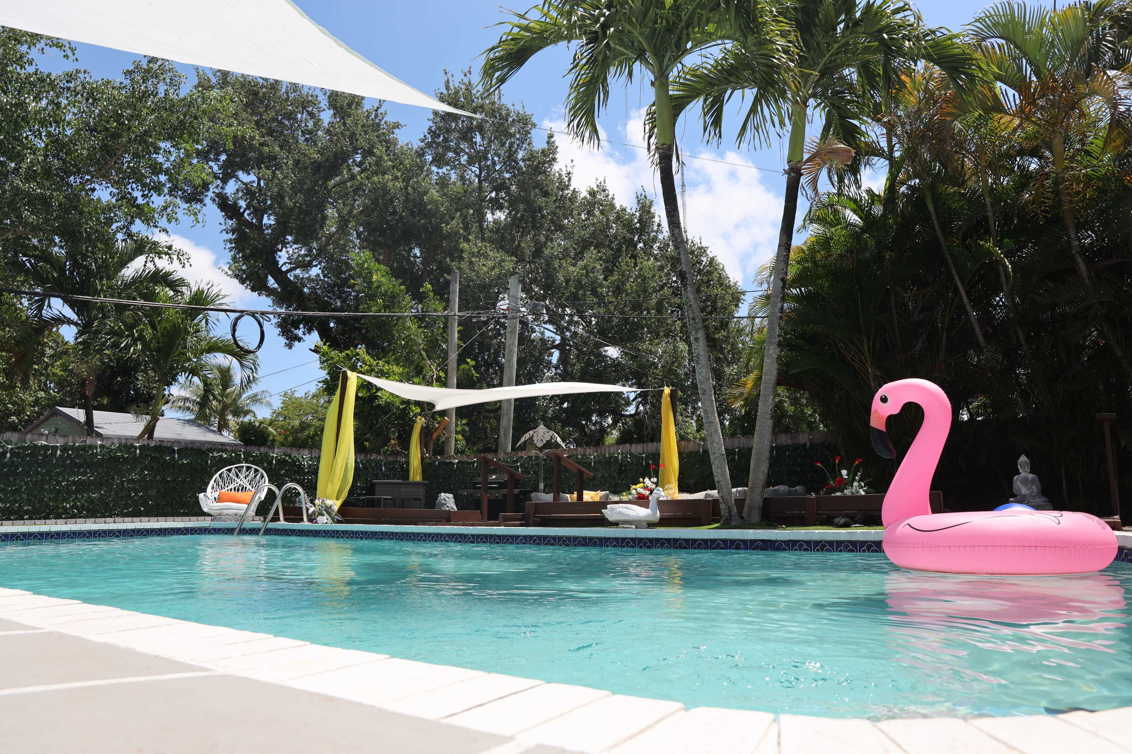 The image shows a residential backyard with a swimming pool, featuring a pink flamingo float, surrounded by tropical plants and patio furniture.