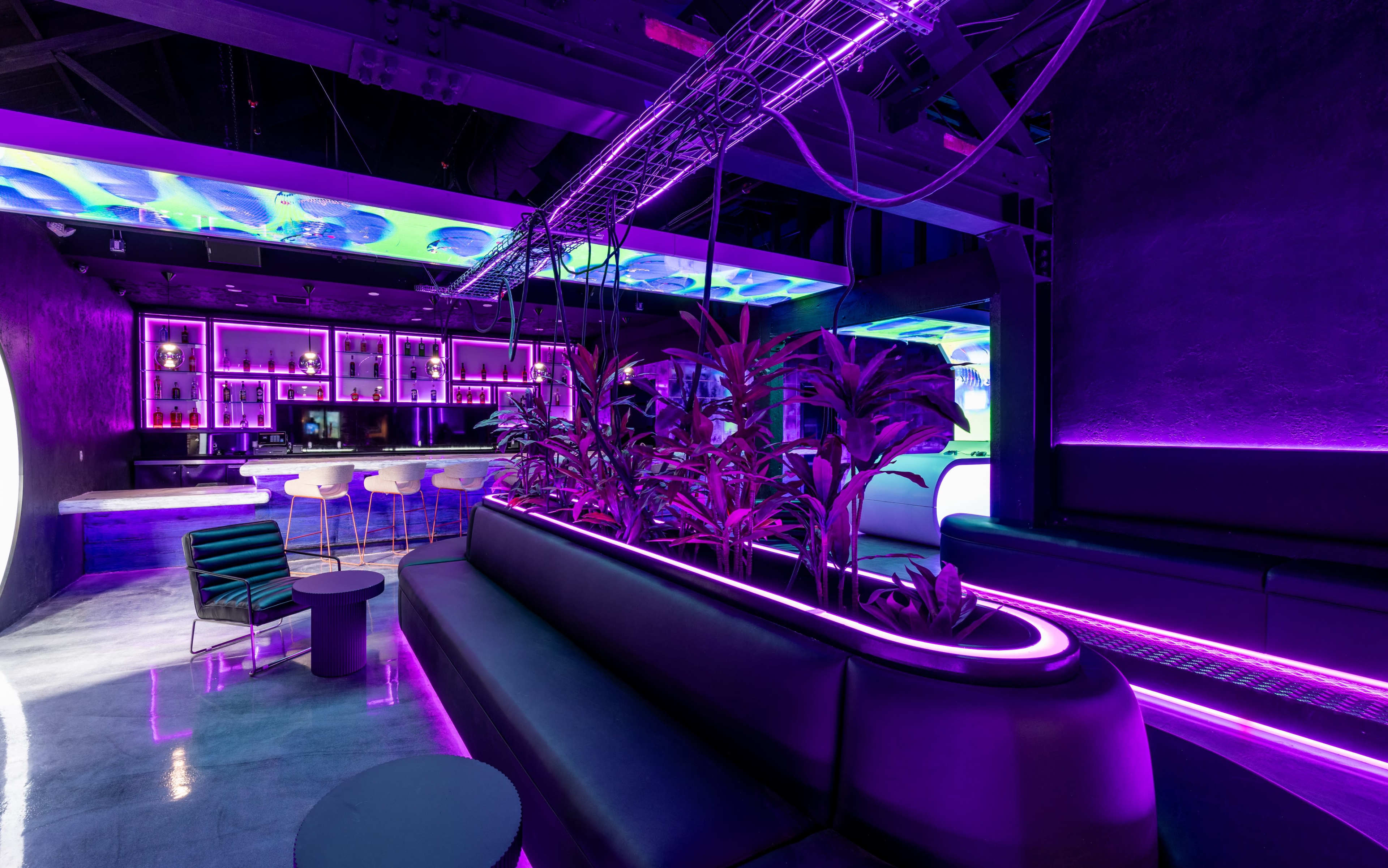 Hollywood Bar & Millenial Oasis Image in Hollywood, Los Angeles, CA