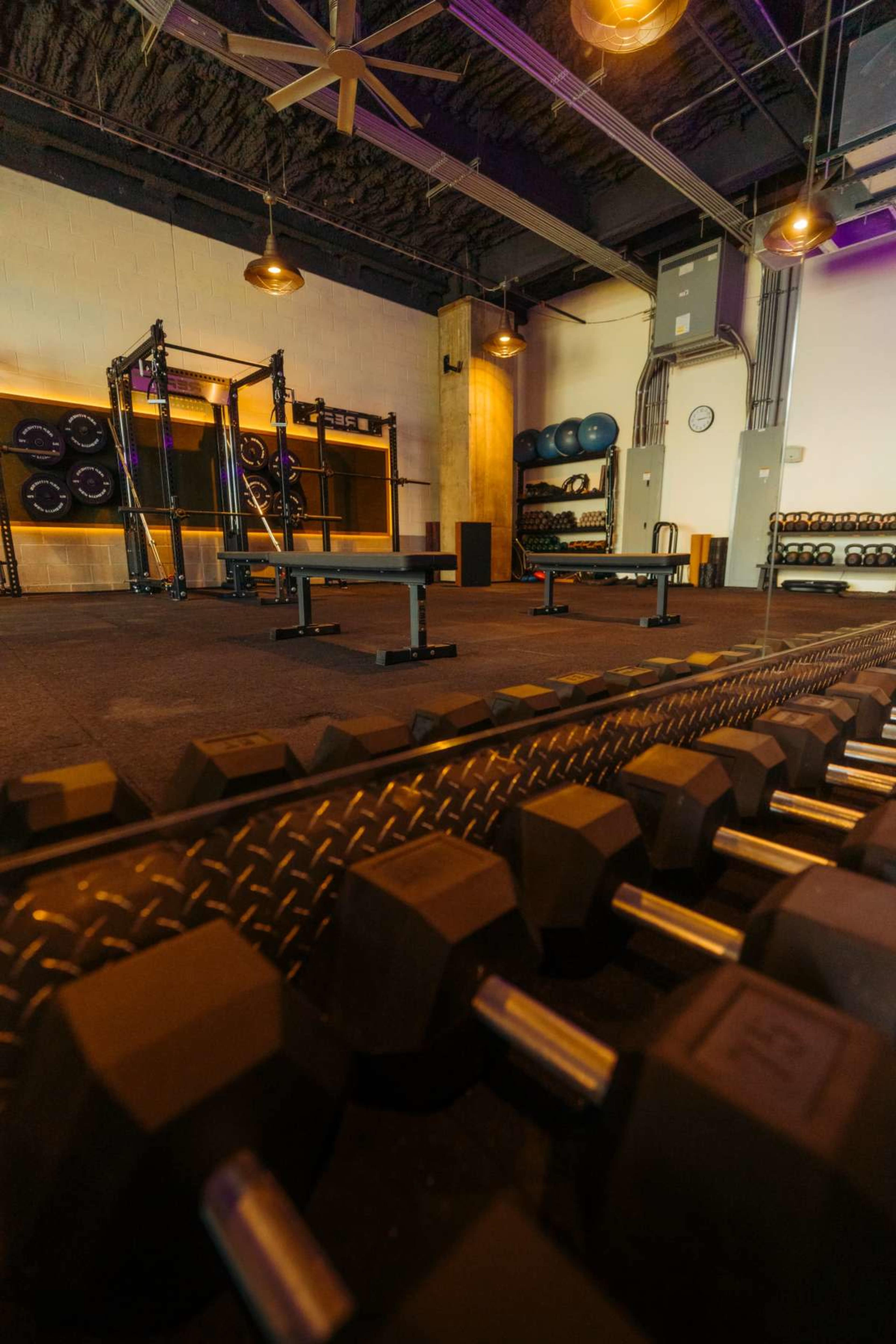The image shows a modern gym interior with weight benches, dumbbells, and a multi-use training station.
