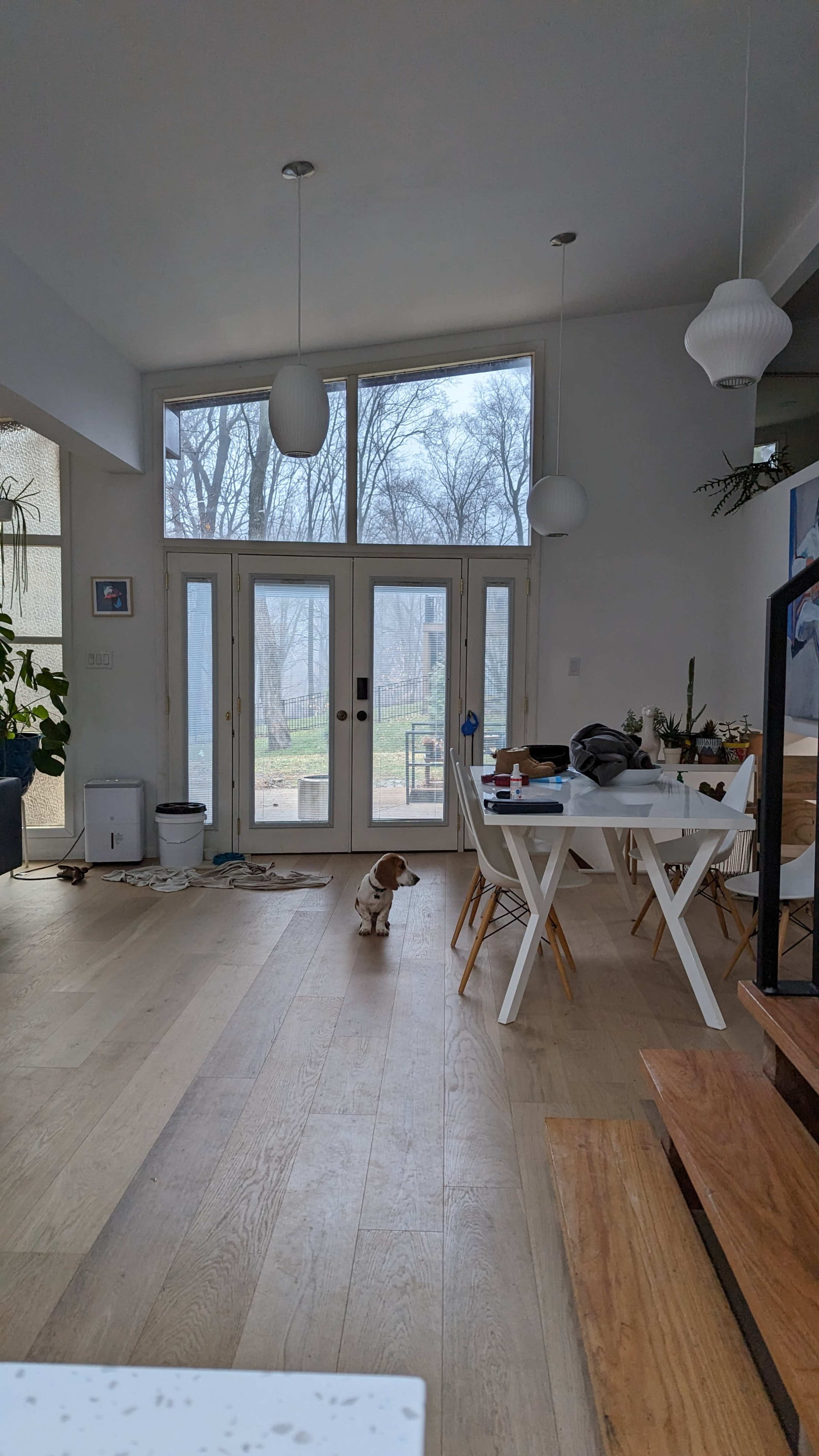 An interior space features a dining table, a small dog on the floor, and large glass doors leading to a view of trees outside.