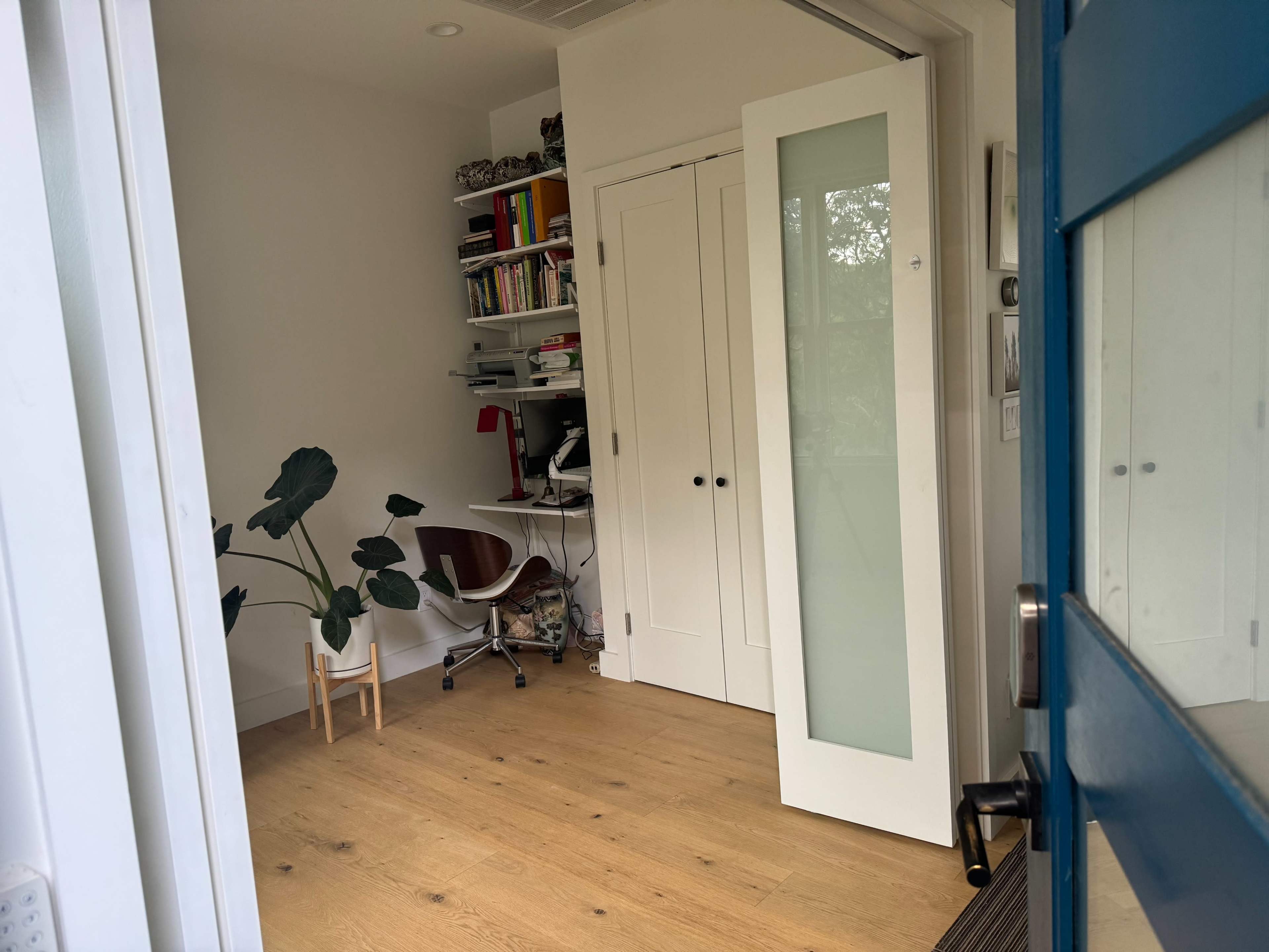 A well-lit room with a blue door, featuring a small desk, shelves of books, and a large plant next to a white chair.