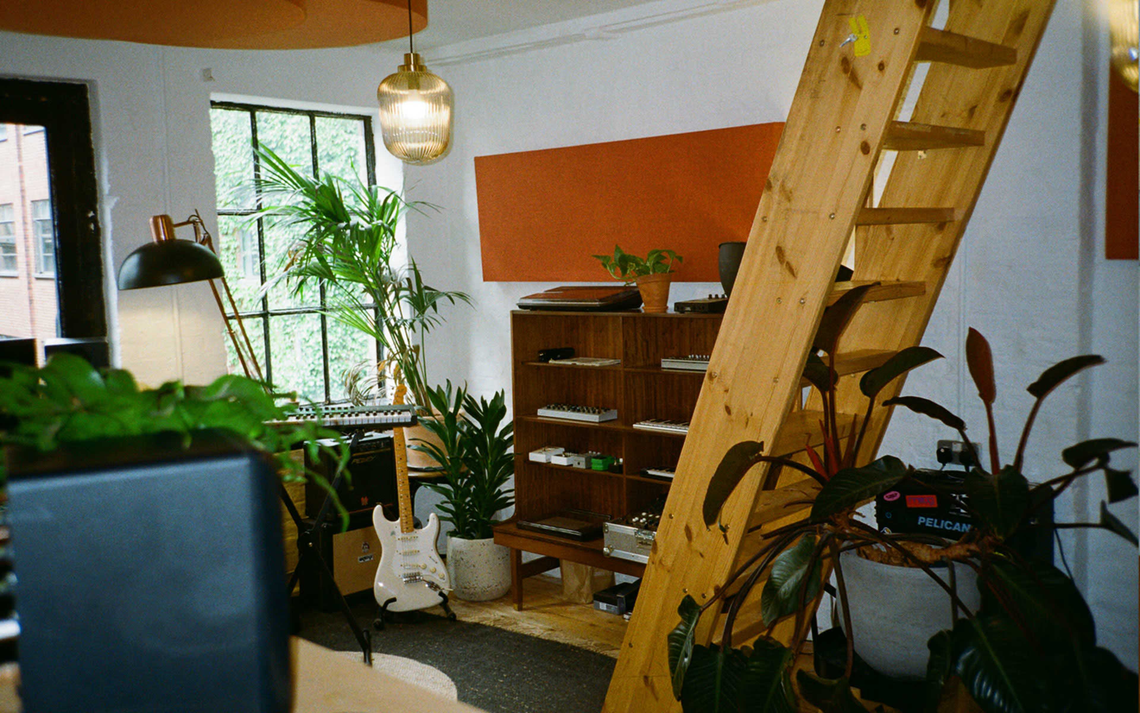 The image shows a cozy indoor space featuring a wooden ladder, a collection of plants, musical instruments, and a shelving unit against a wall.